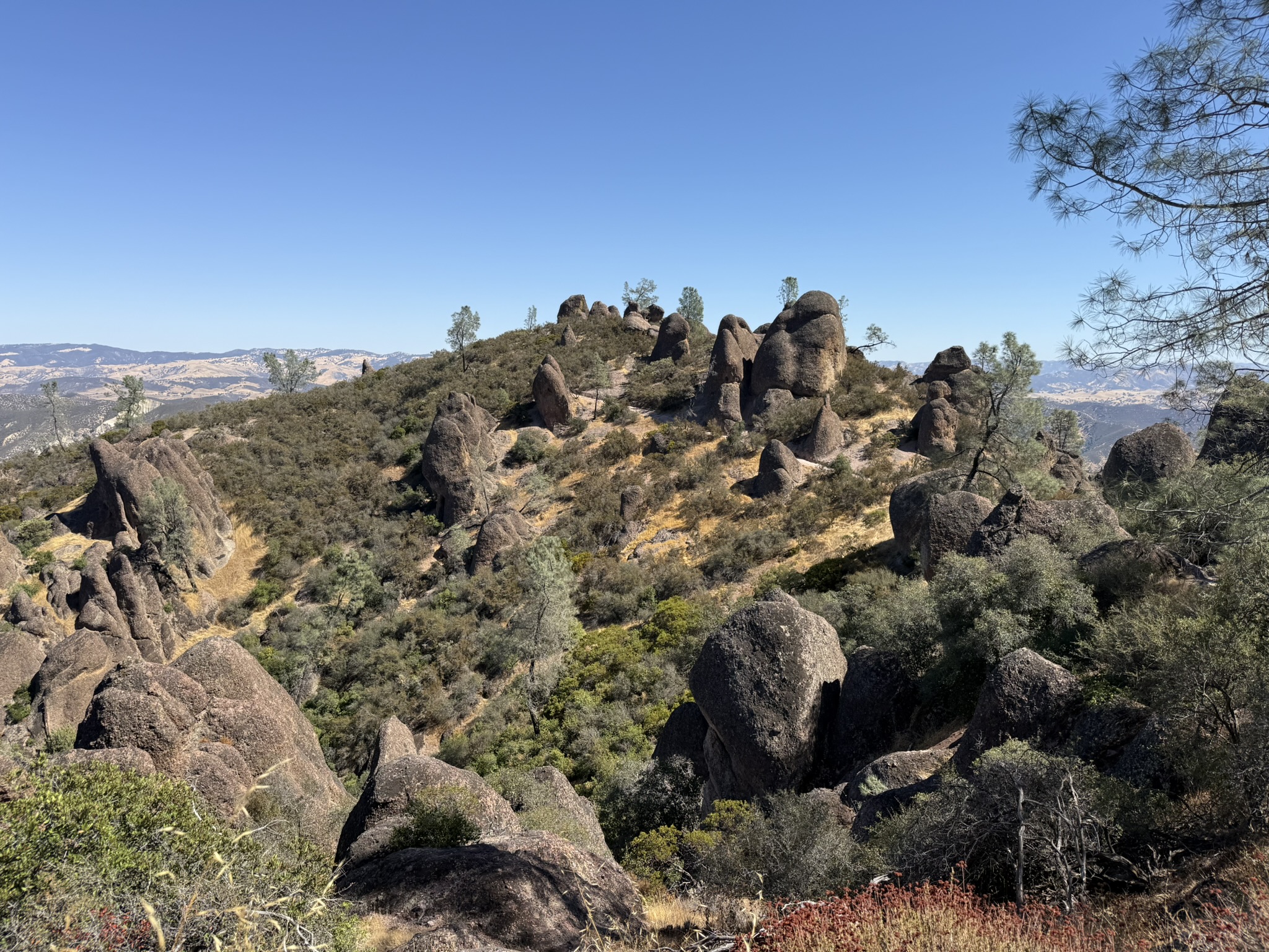 Condor Gulch Trail