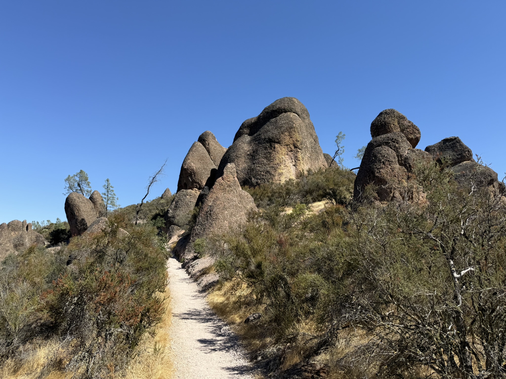 Condor Gulch Trail