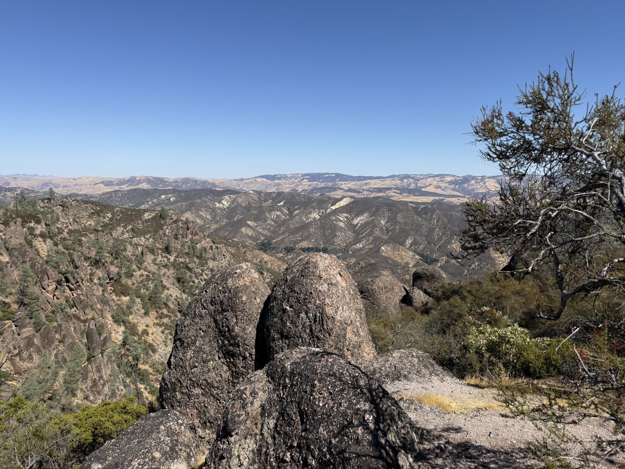 Condor Gulch Trail