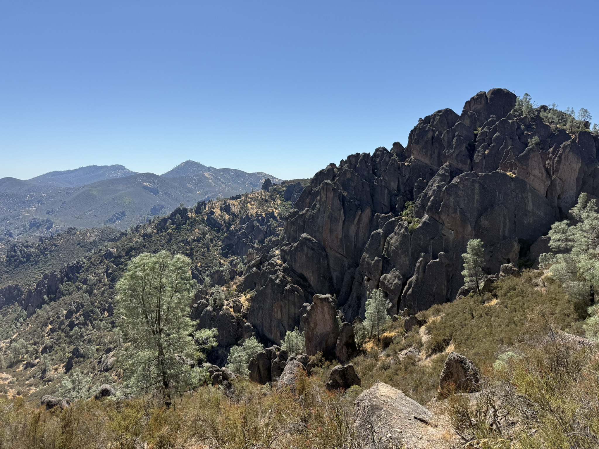 Condor Gulch Trail