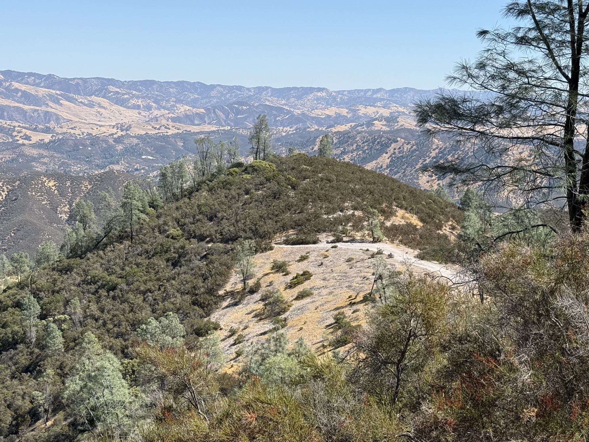 Condor Gulch Trail