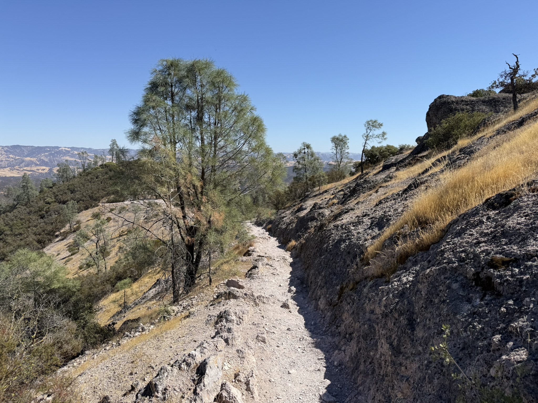 Condor Gulch Trail