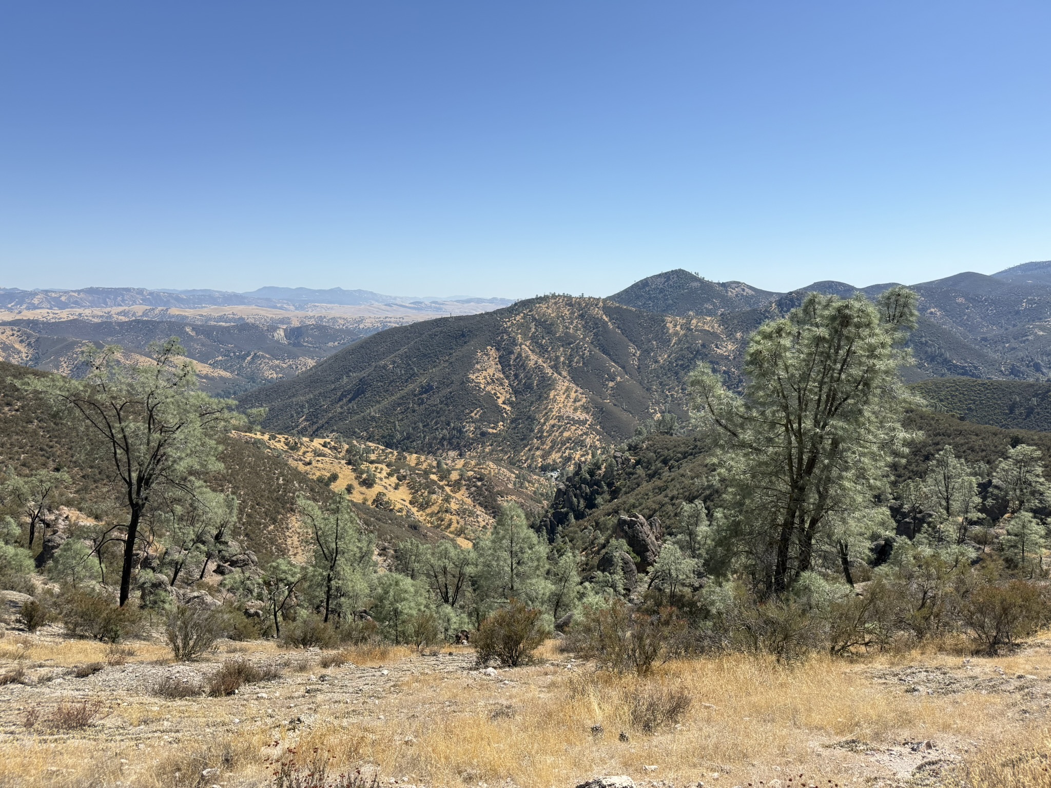 Condor Gulch Trail