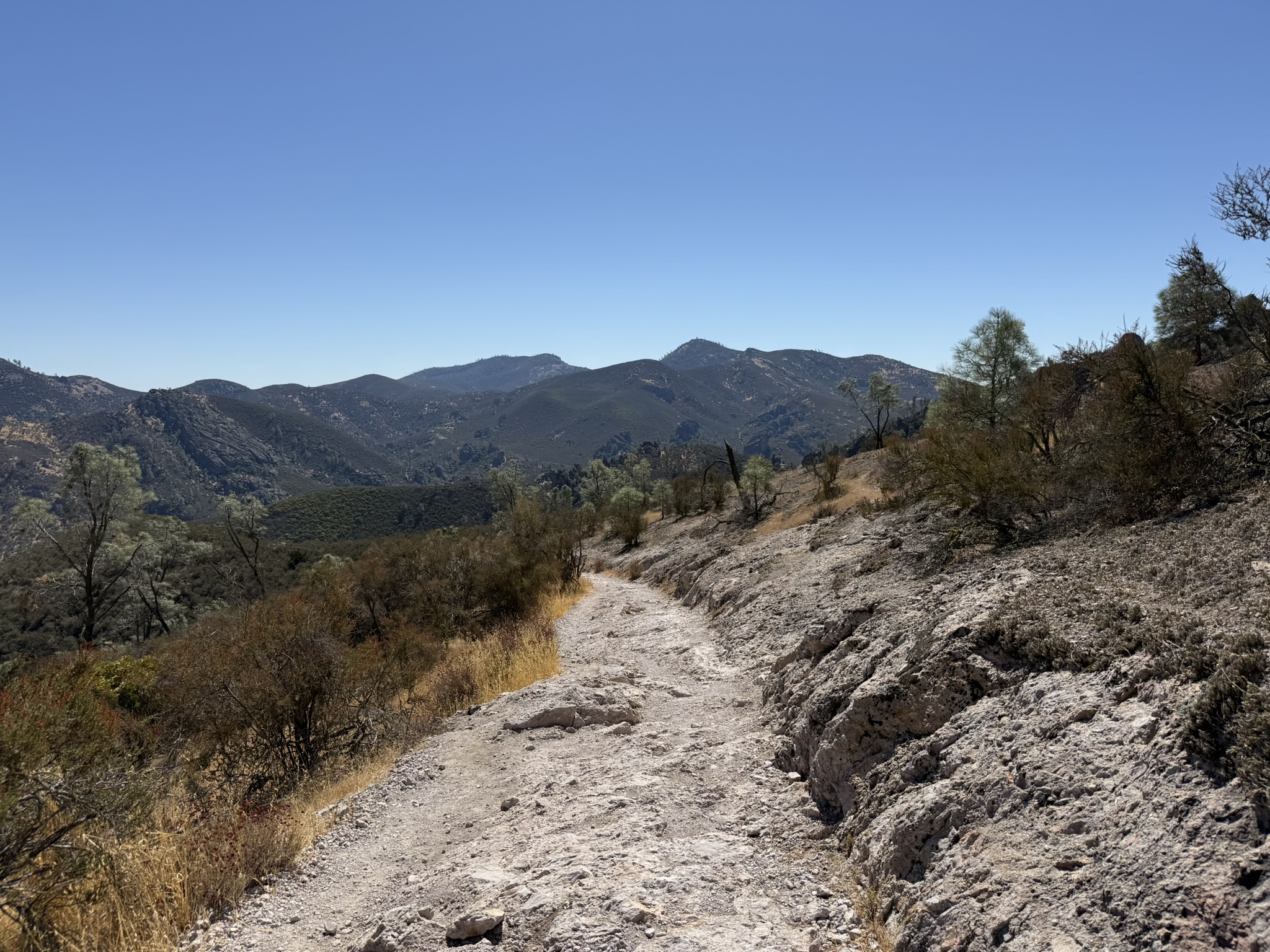 Condor Gulch Trail