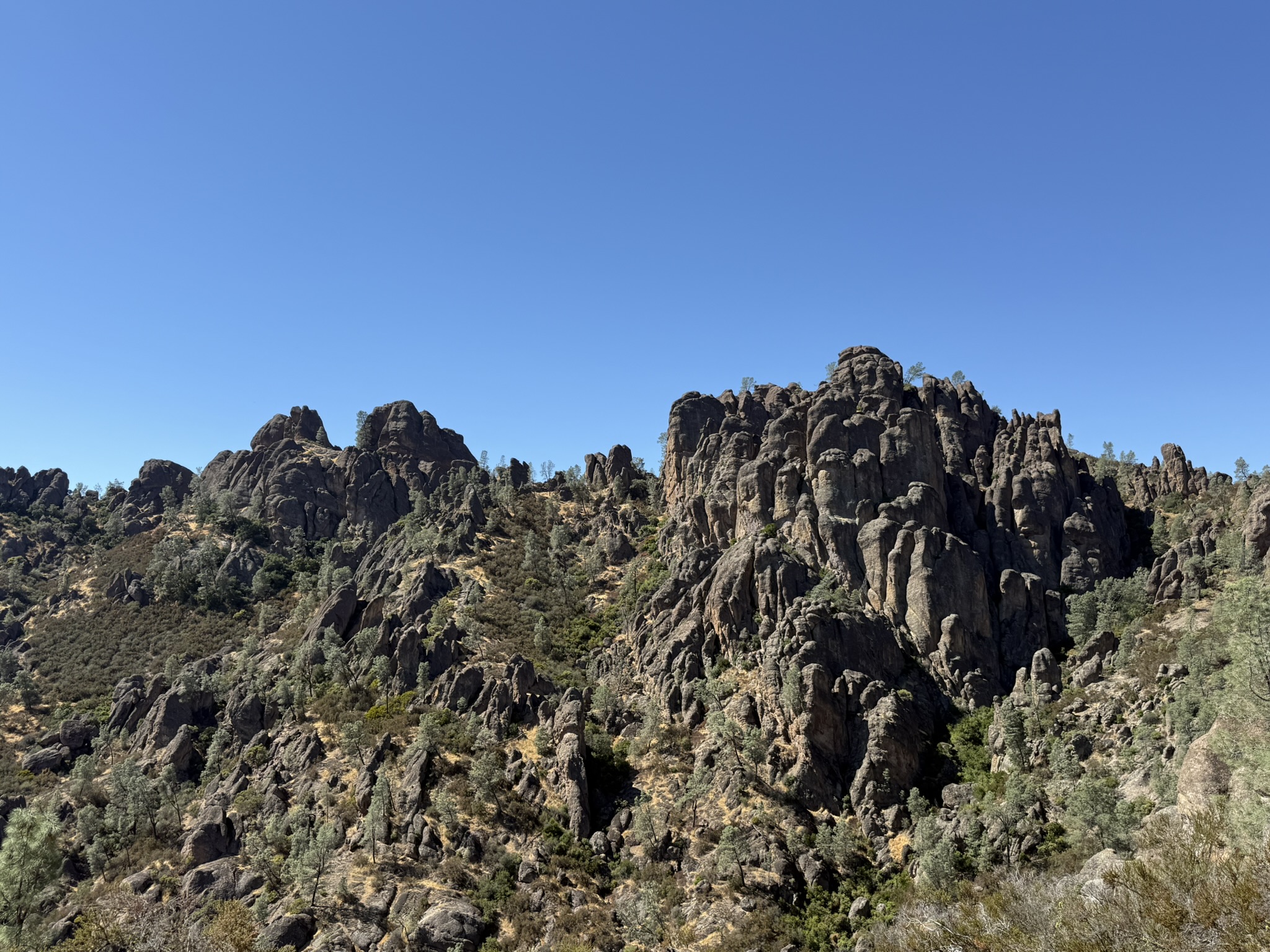 Condor Gulch Trail