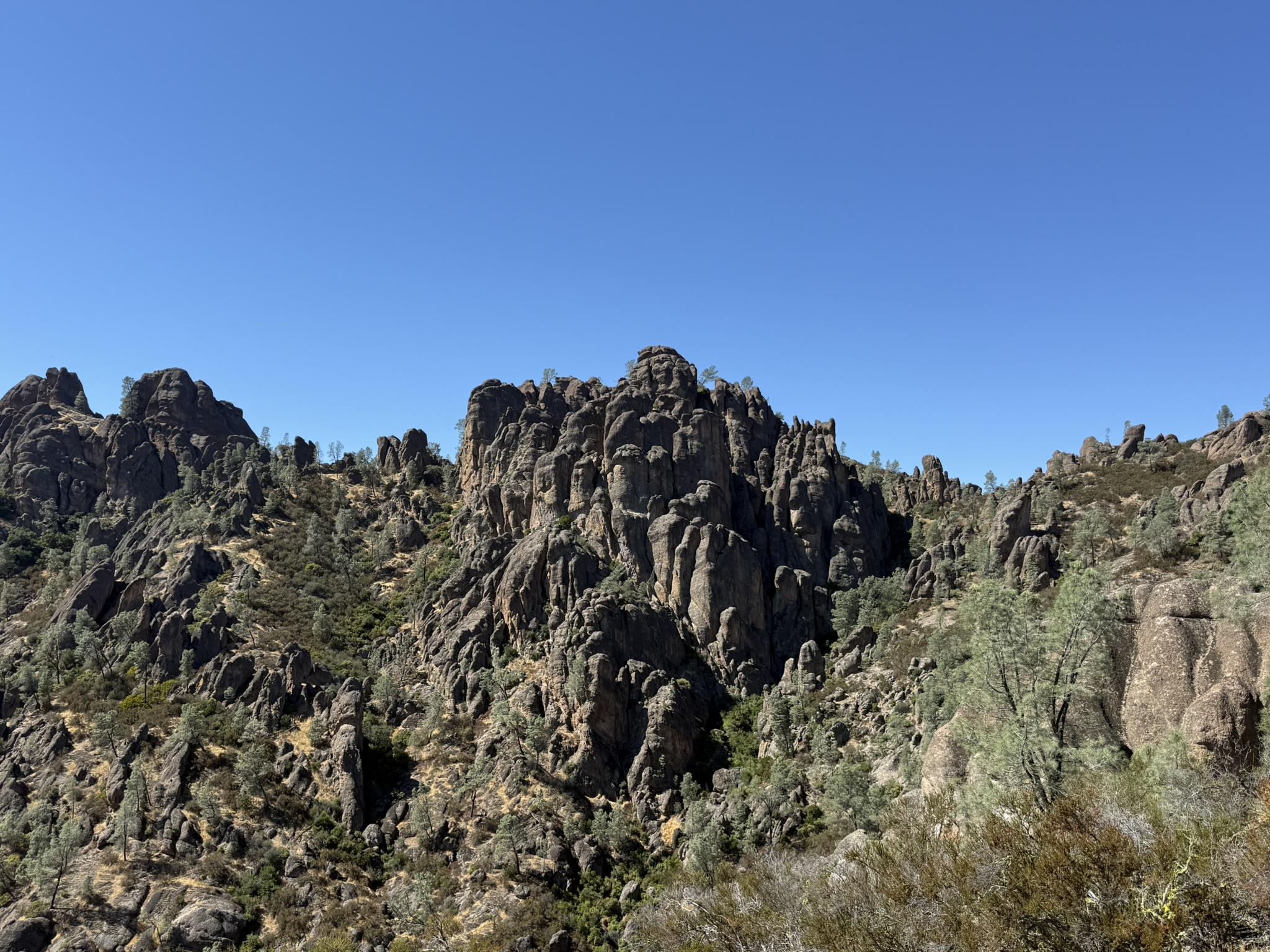 Condor Gulch Trail