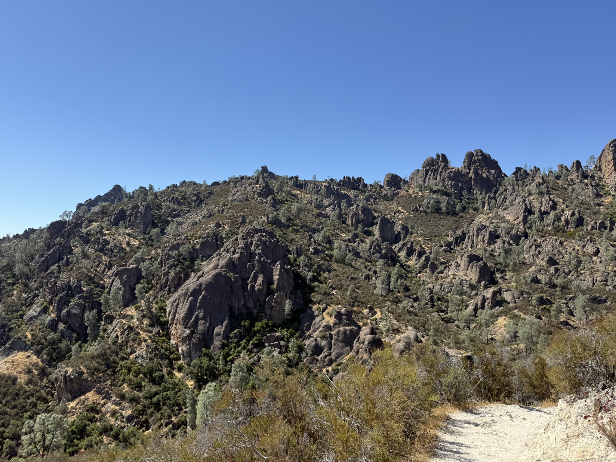 Condor Gulch Trail