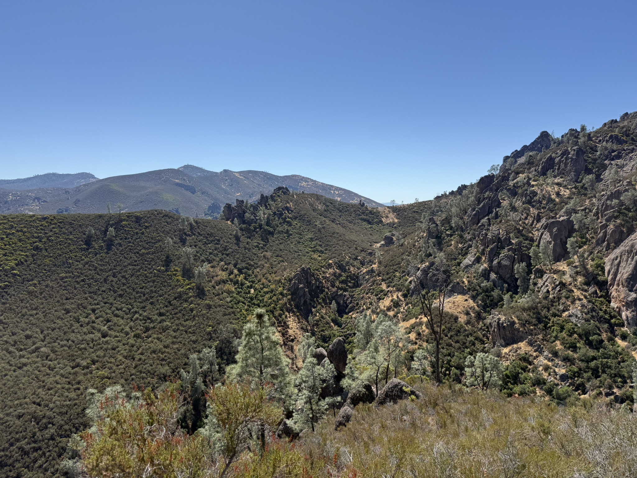 Condor Gulch Trail