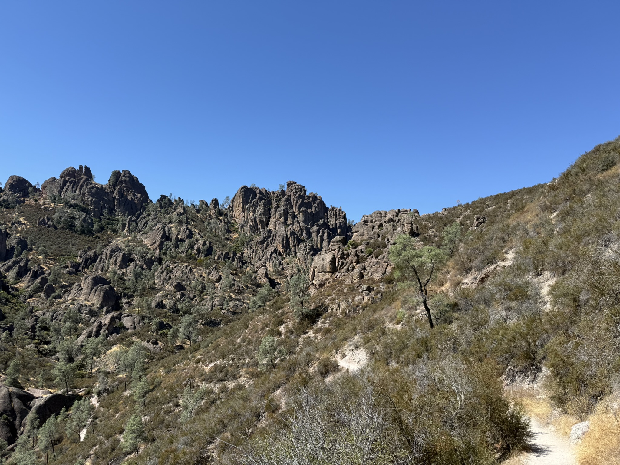 Condor Gulch Trail