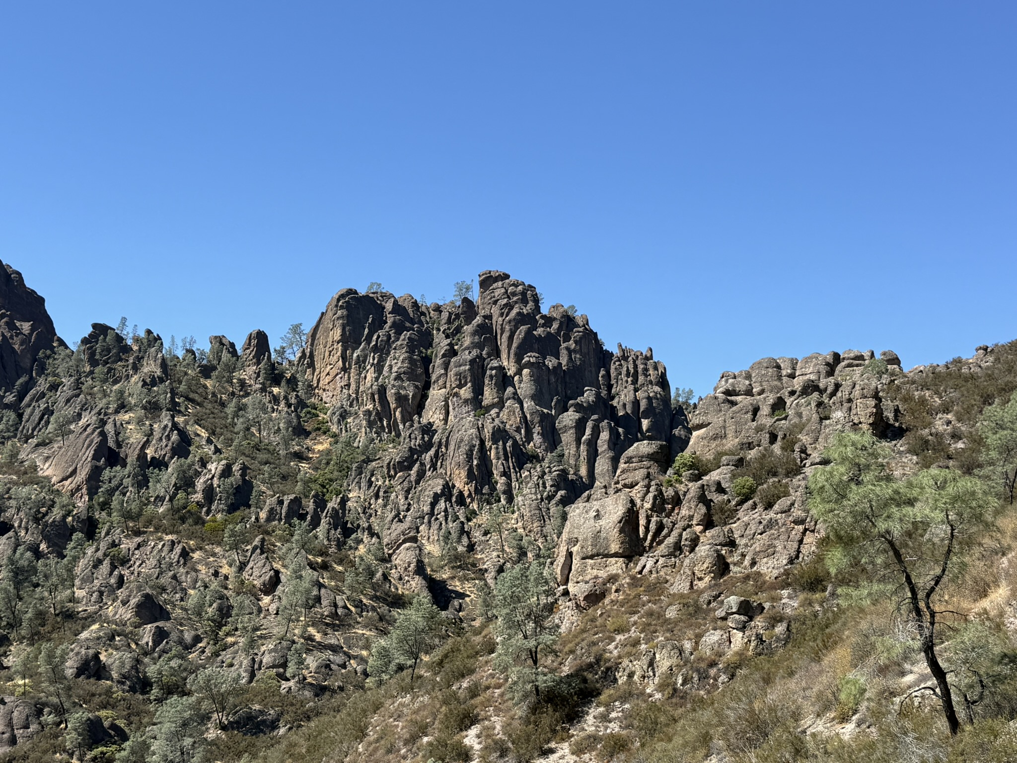 Condor Gulch Trail