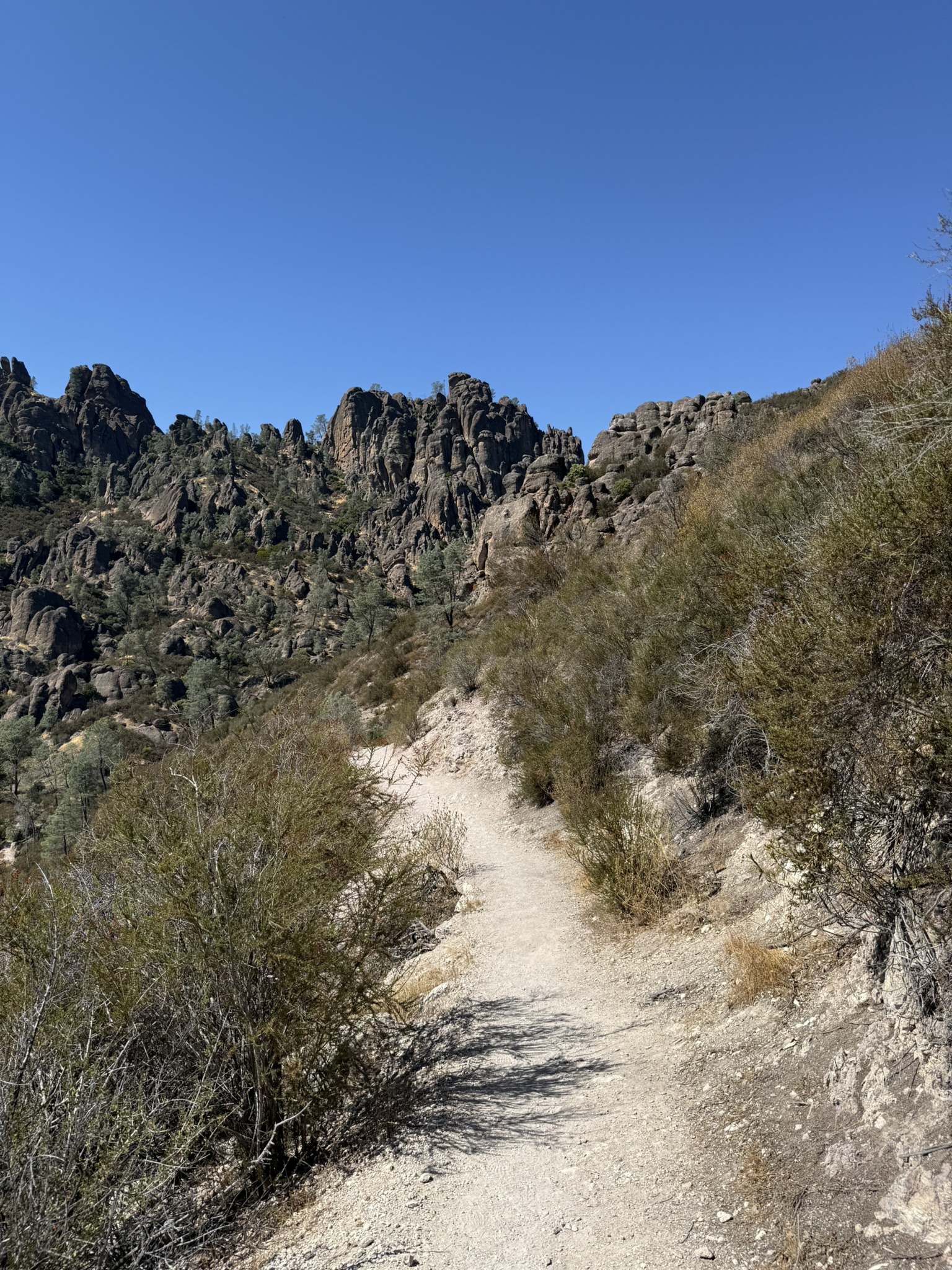 Condor Gulch Trail