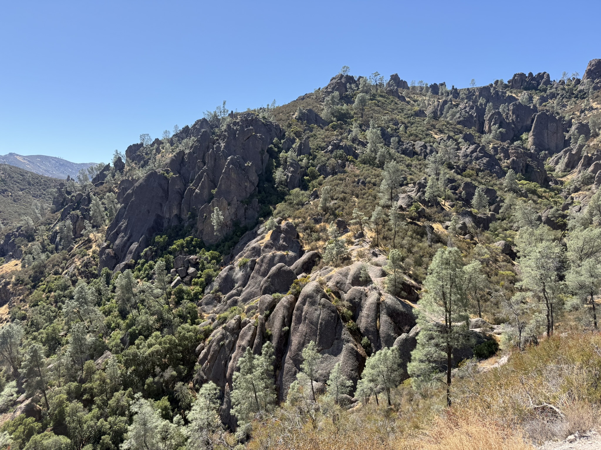 Condor Gulch Trail