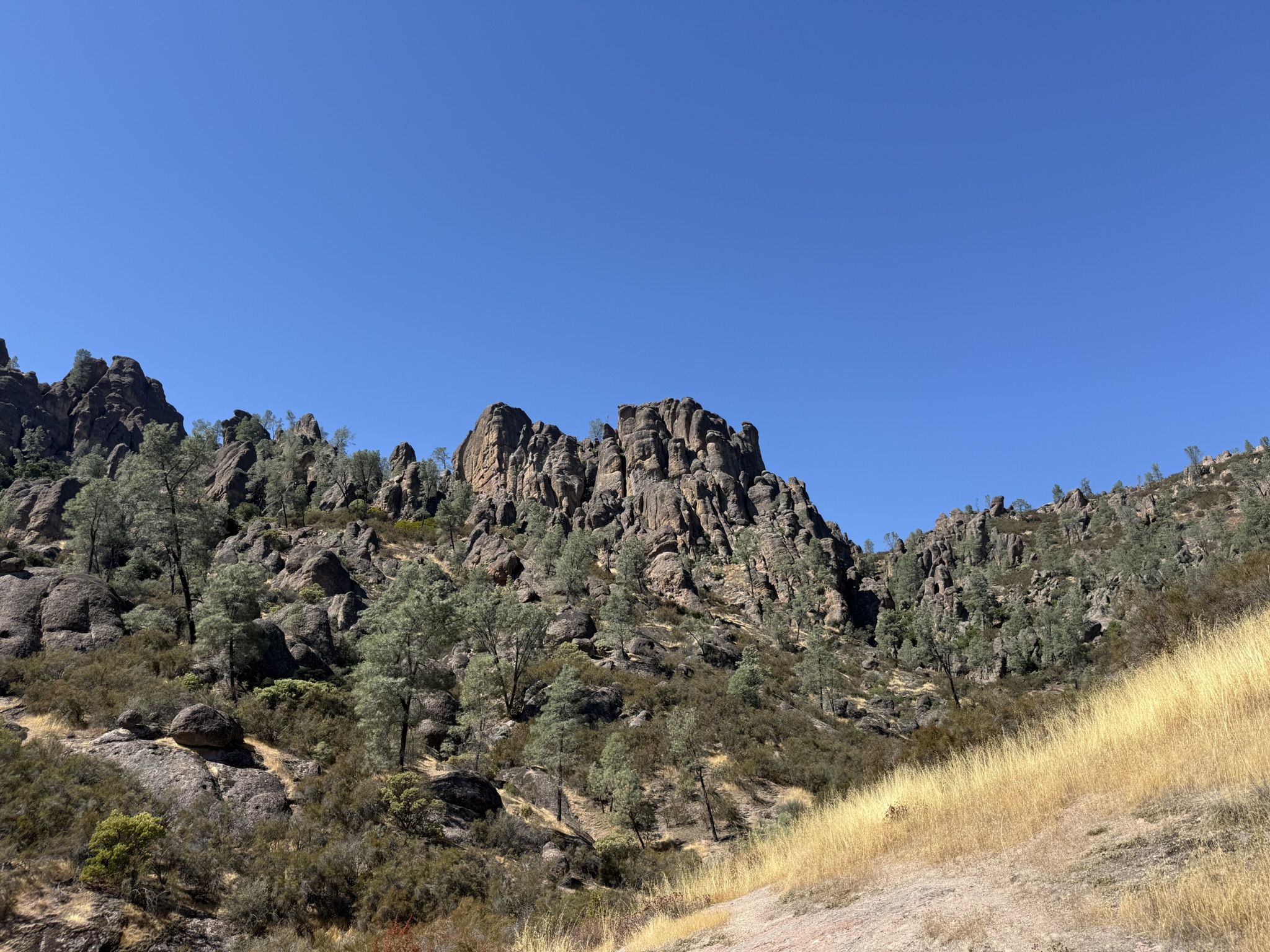 Condor Gulch Trail