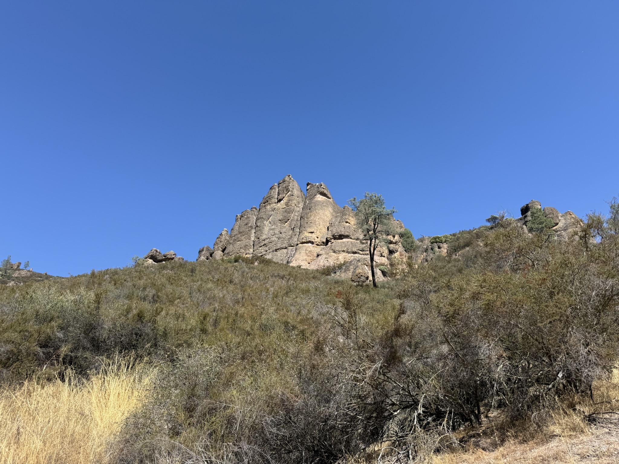 Condor Gulch Trail