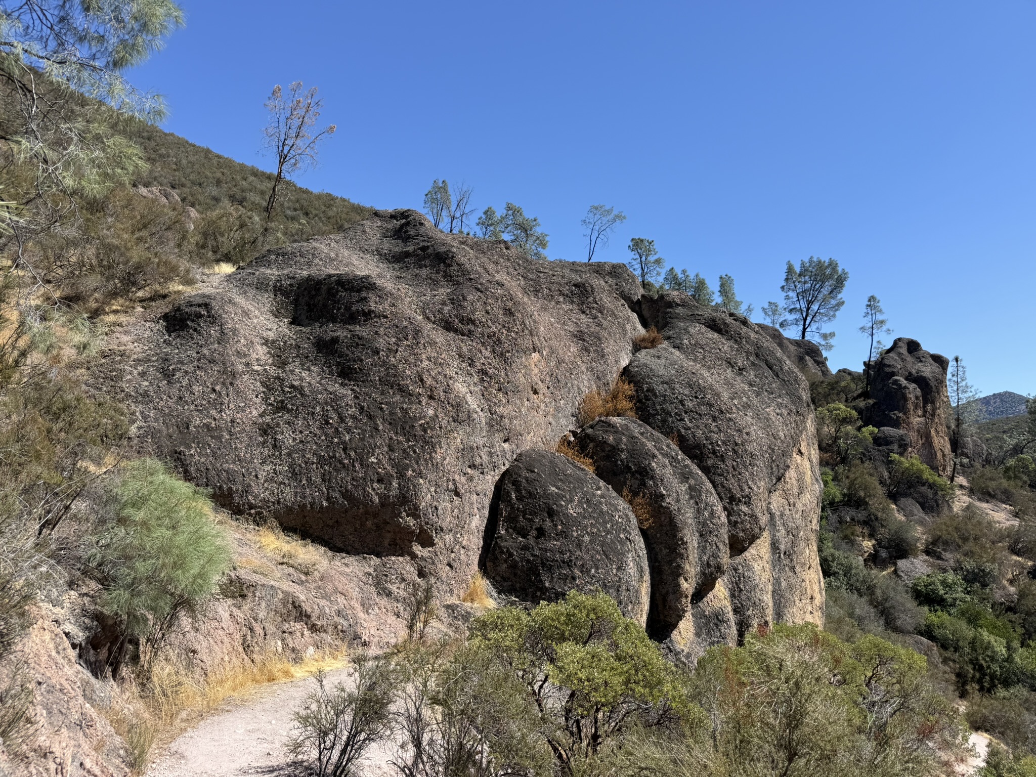 Condor Gulch Trail