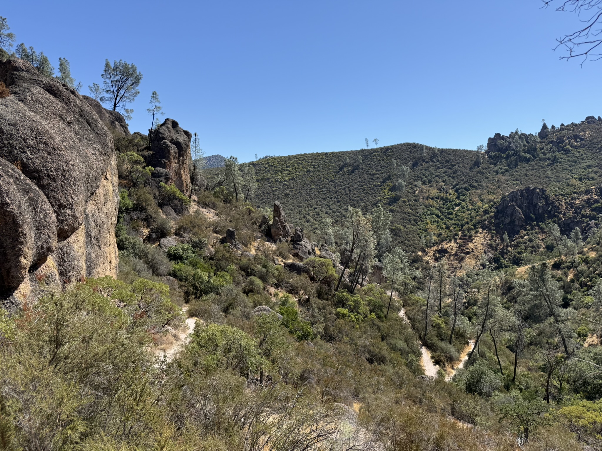 Condor Gulch Trail