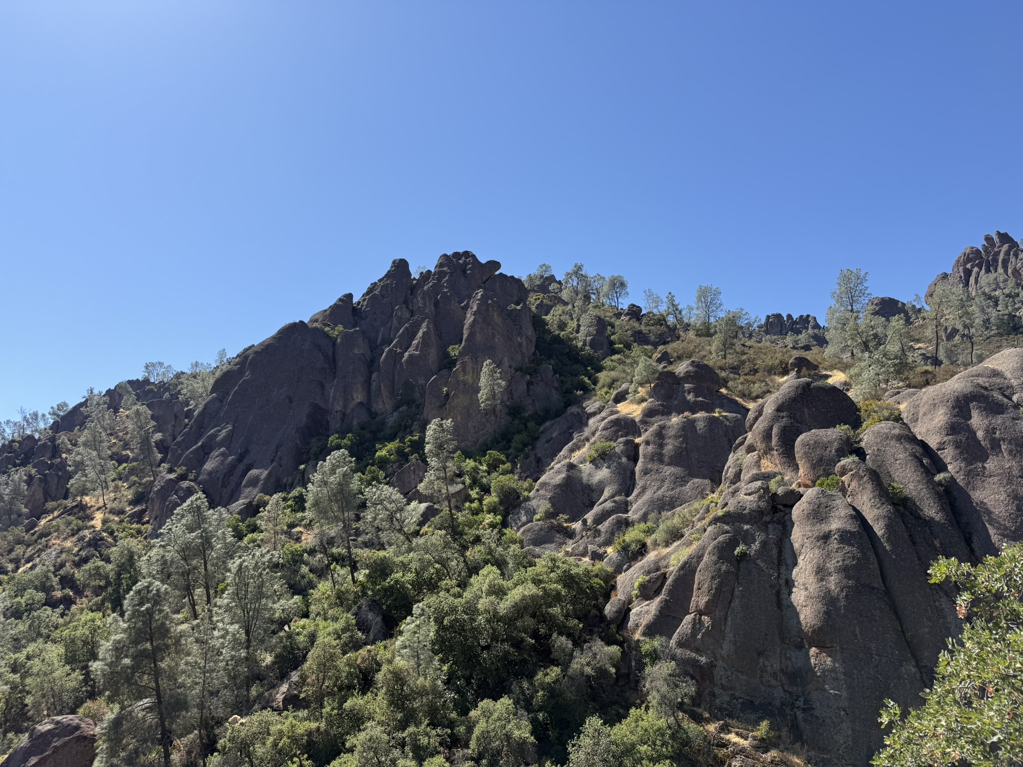 Condor Gulch Trail