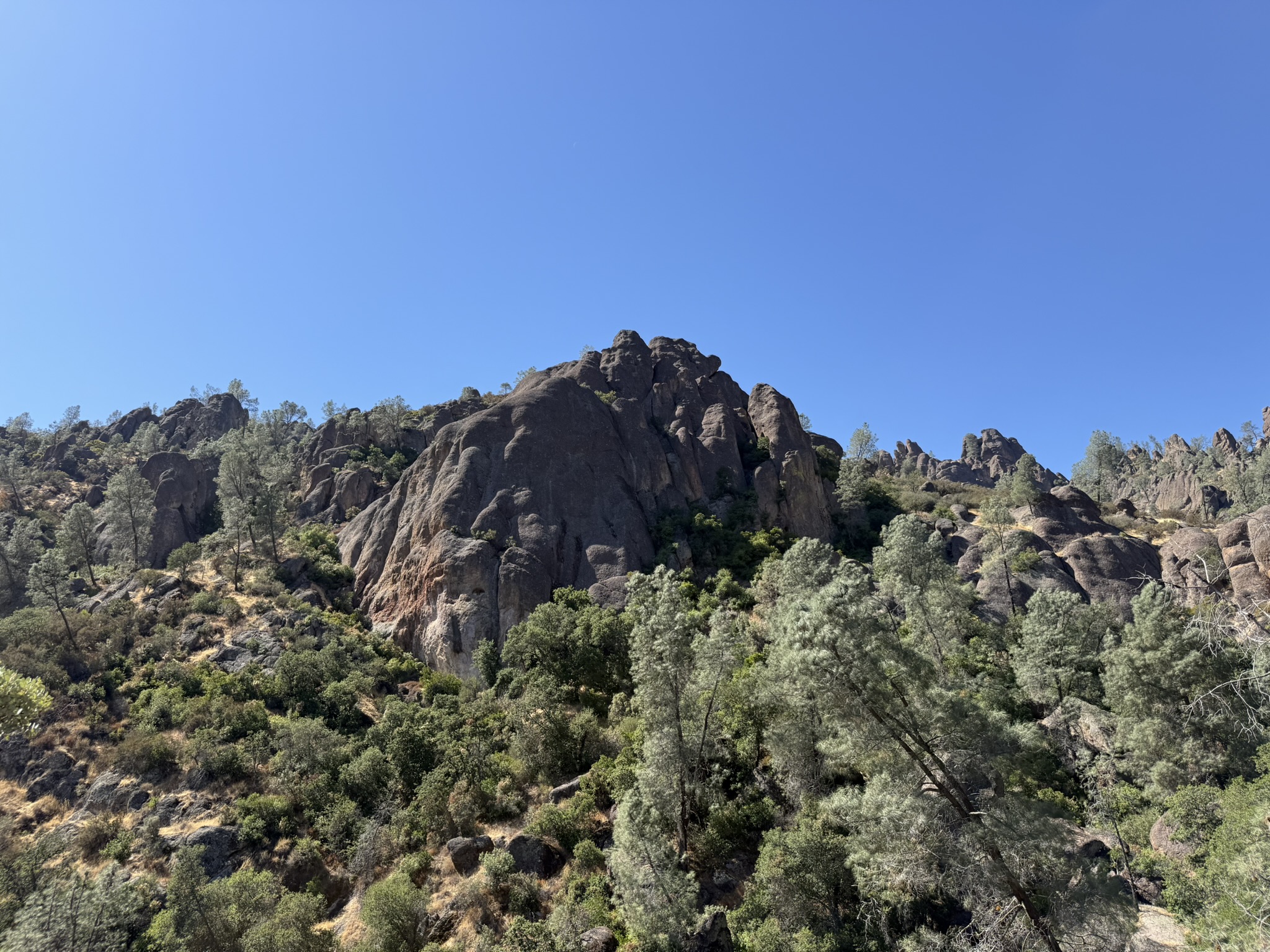 Condor Gulch Trail