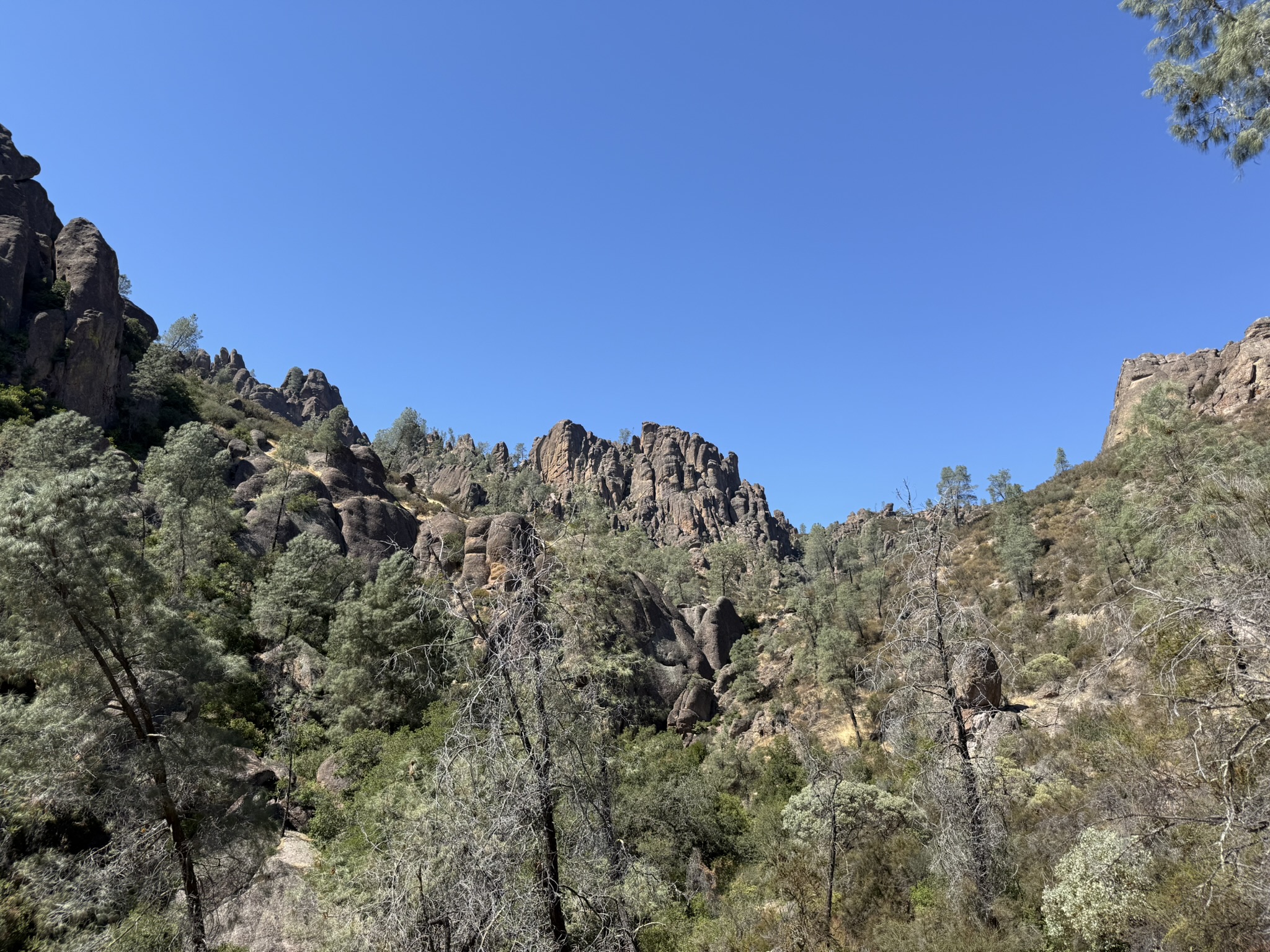 Condor Gulch Trail