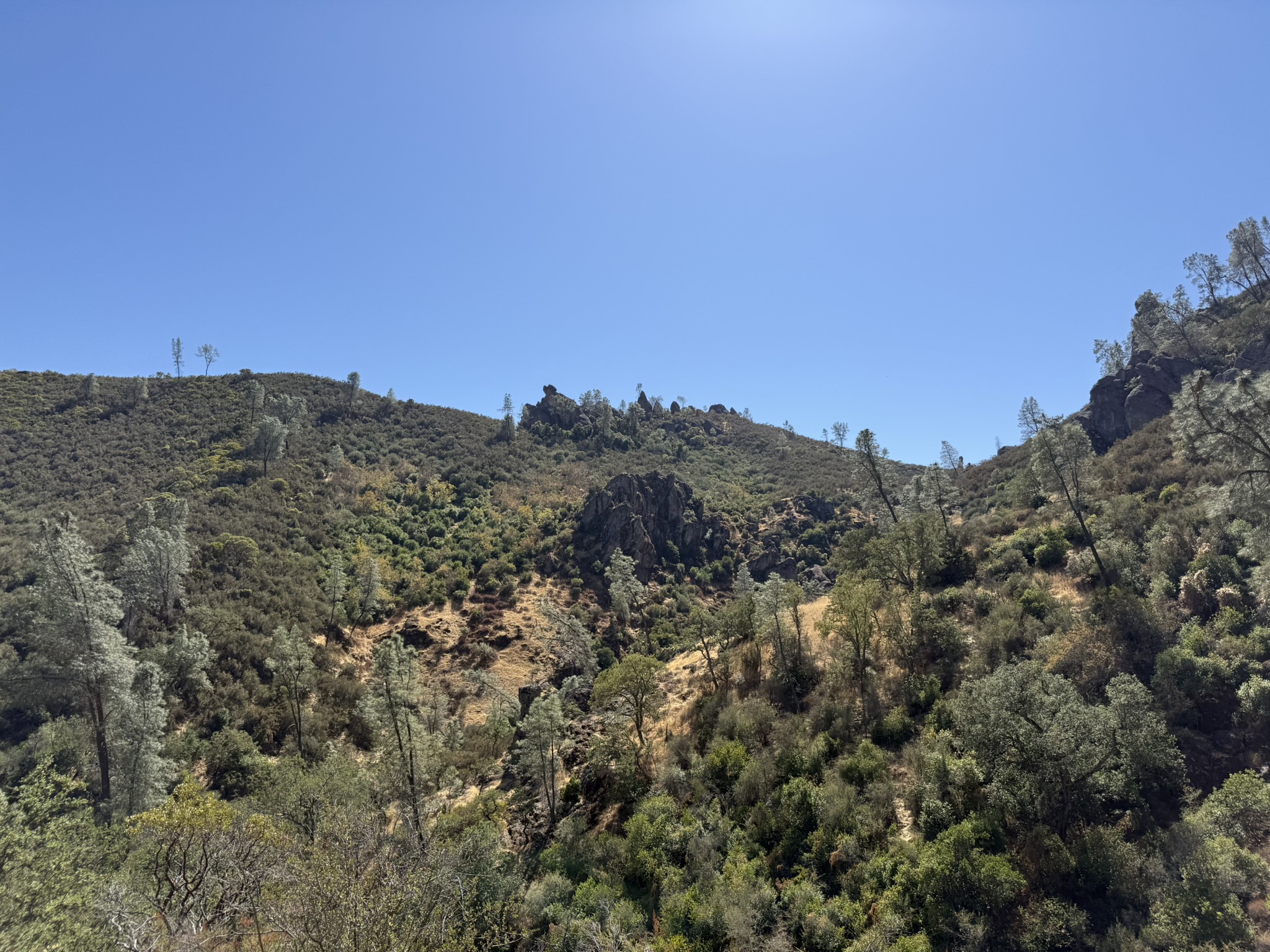 Condor Gulch Trail