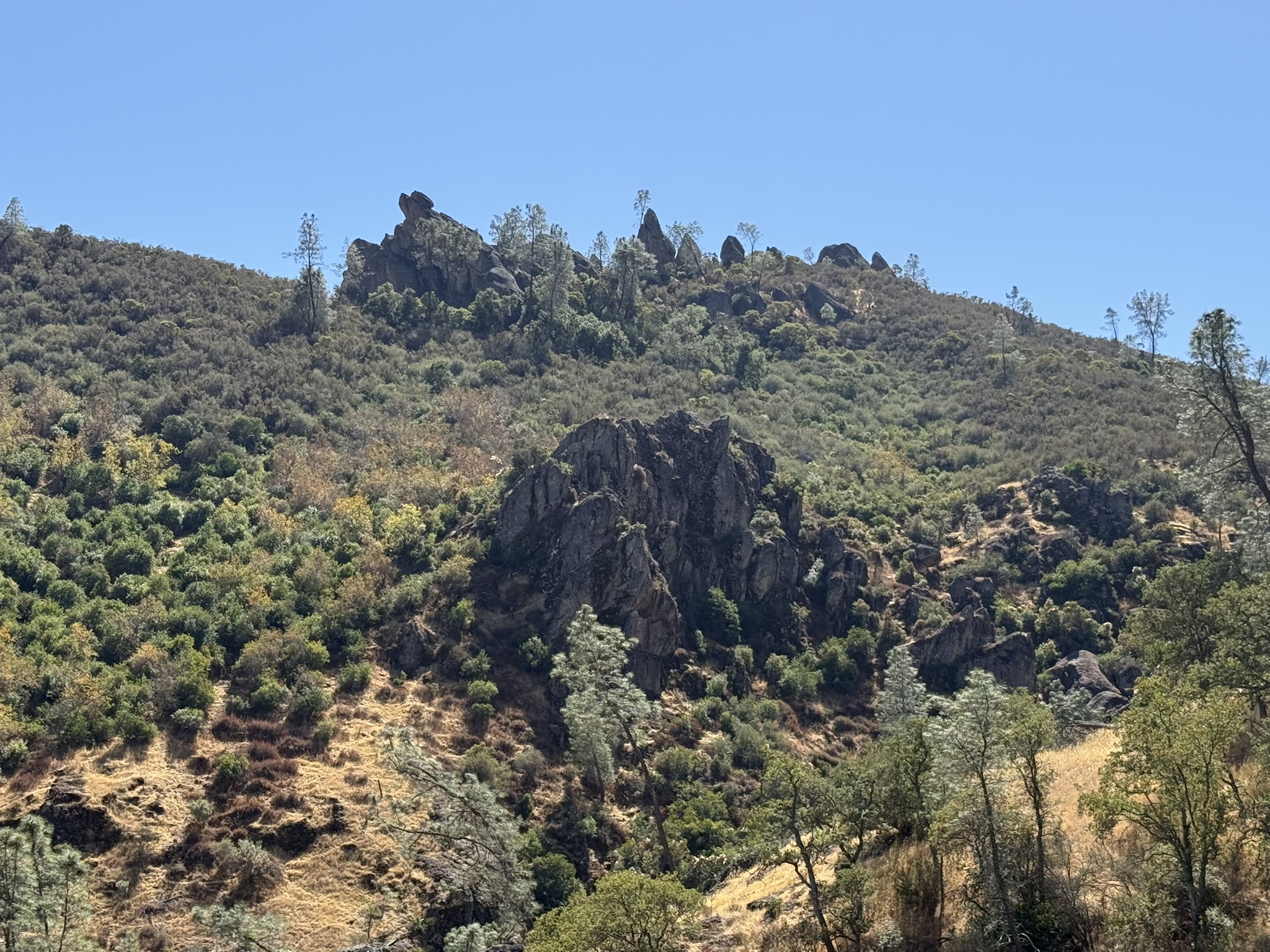 Condor Gulch Trail