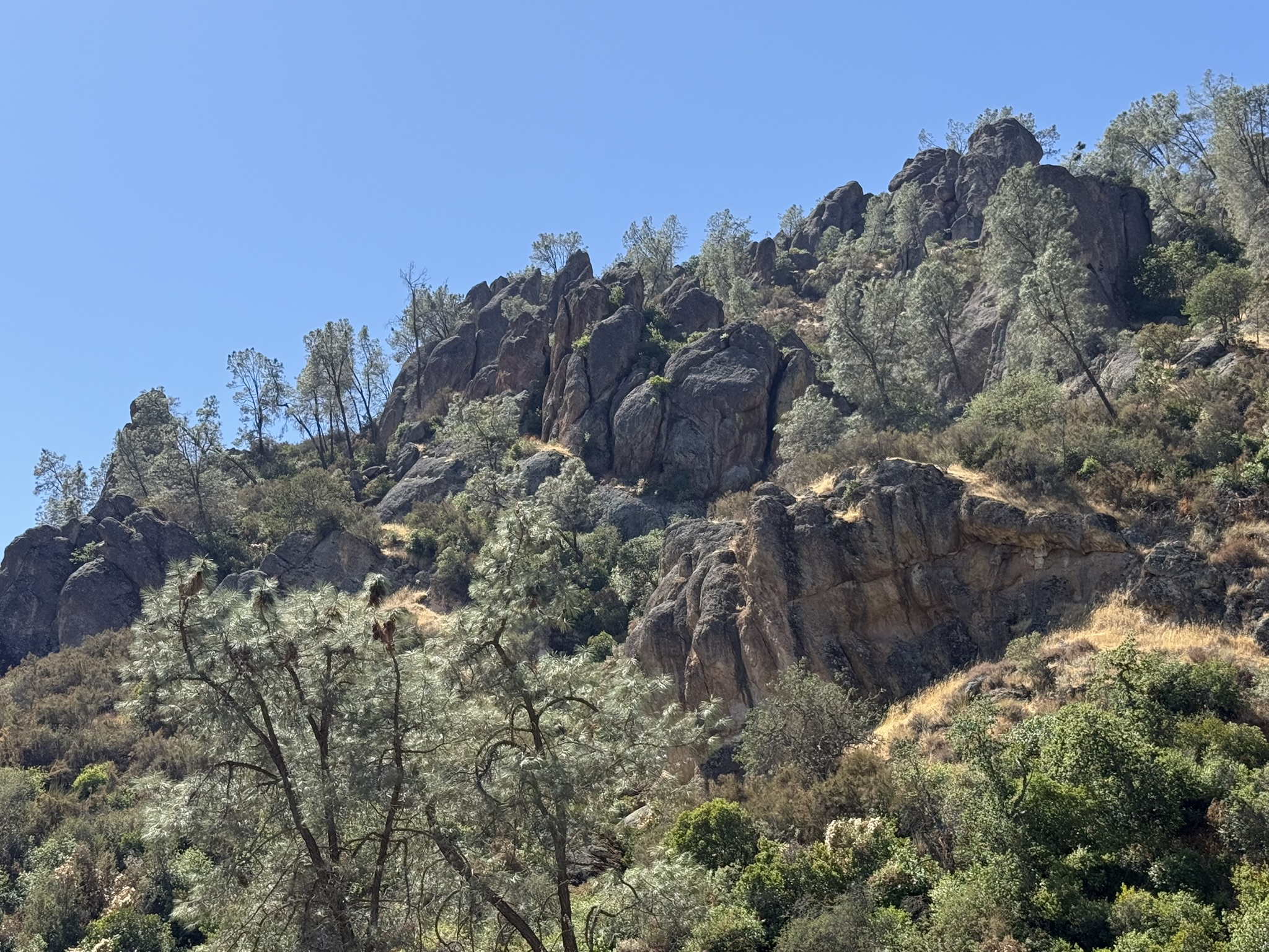 Condor Gulch Trail