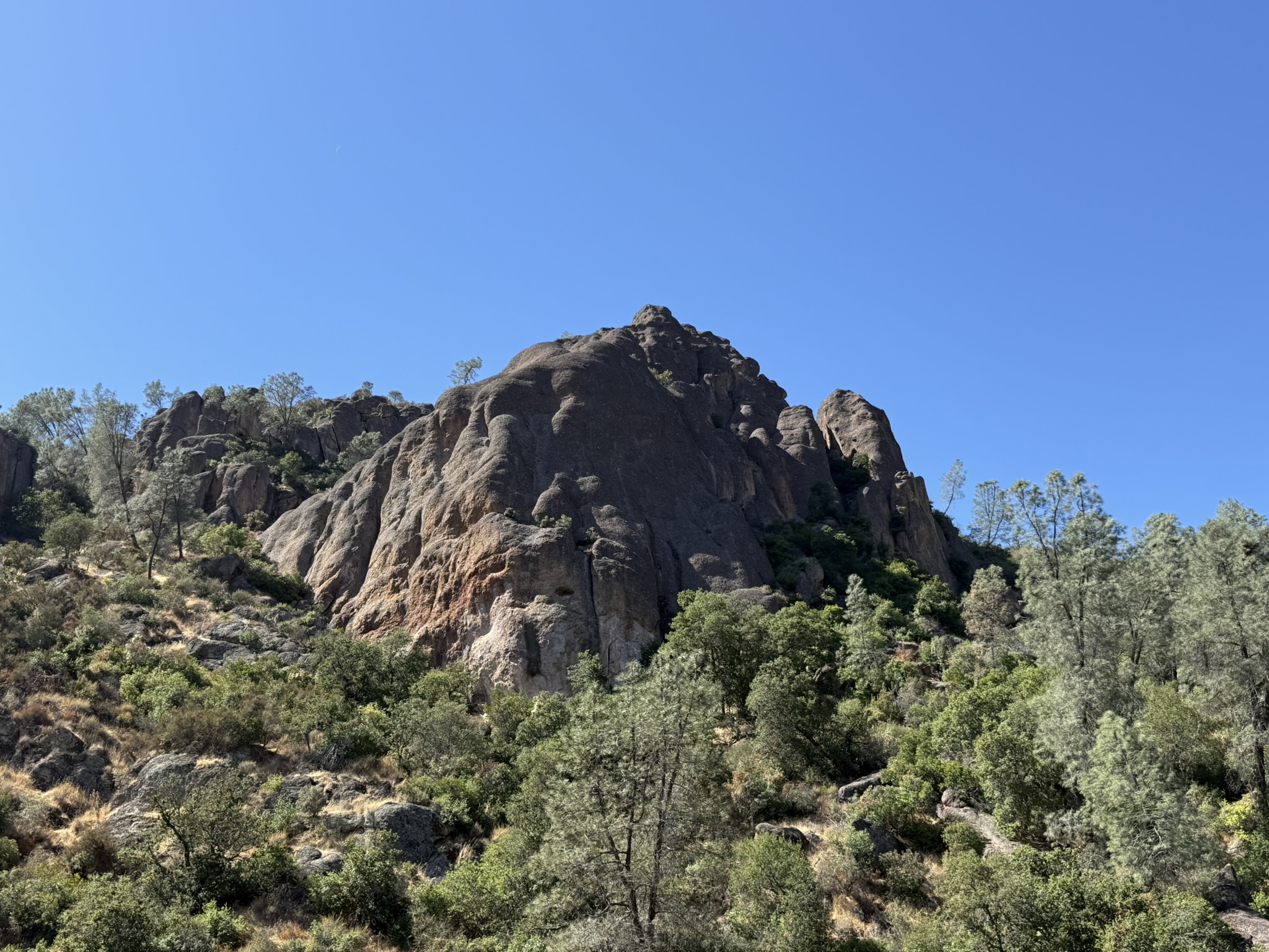 Condor Gulch Trail