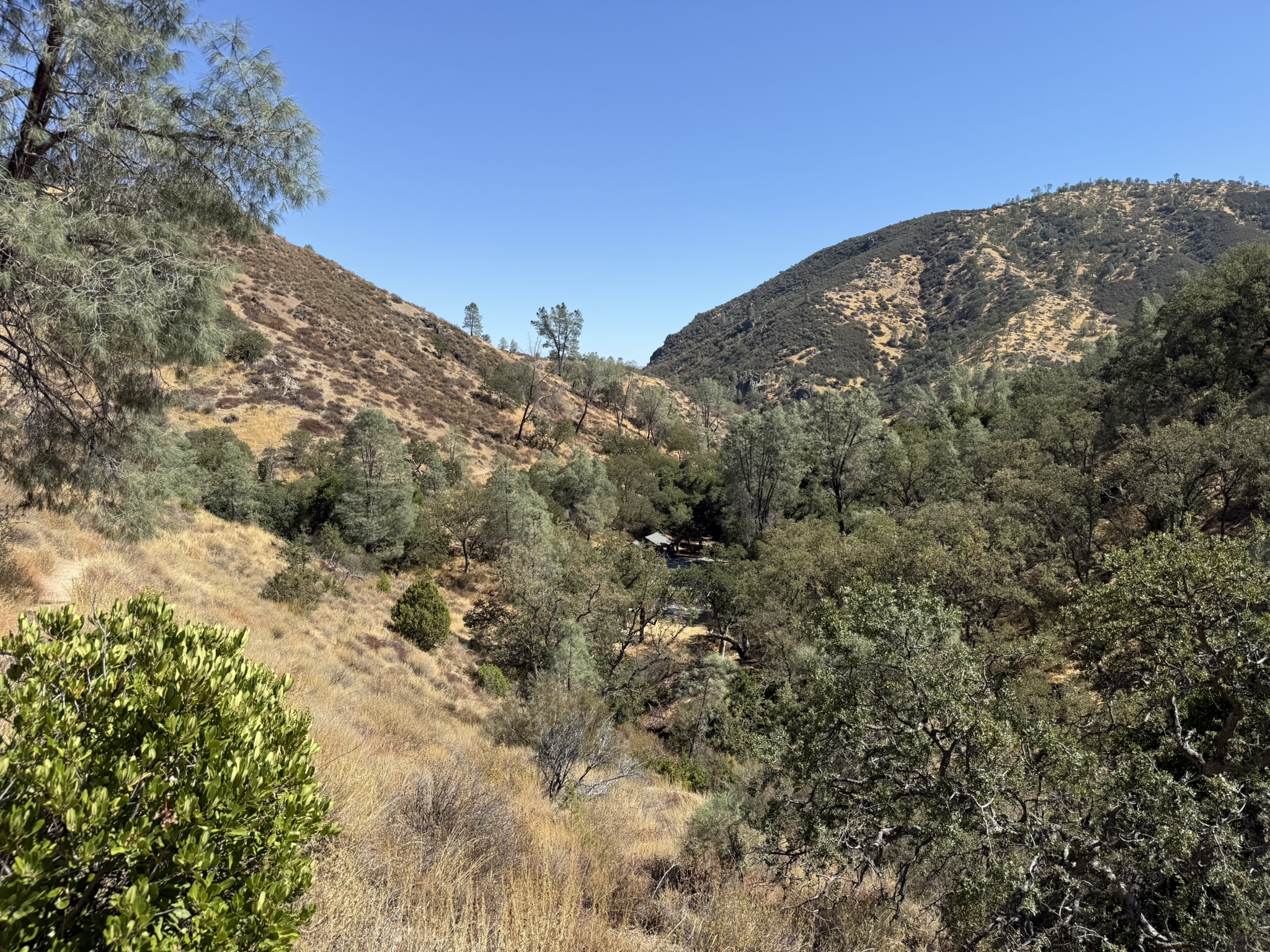 Condor Gulch Trail