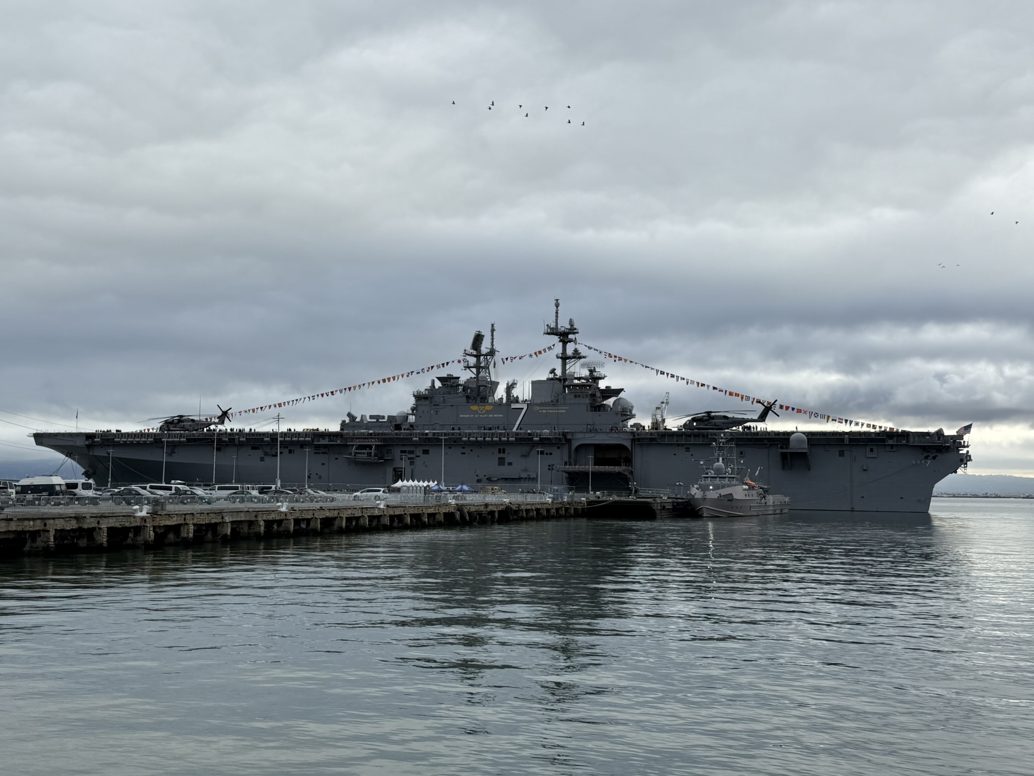 USS Tripoli (LHA 7) 和鸟