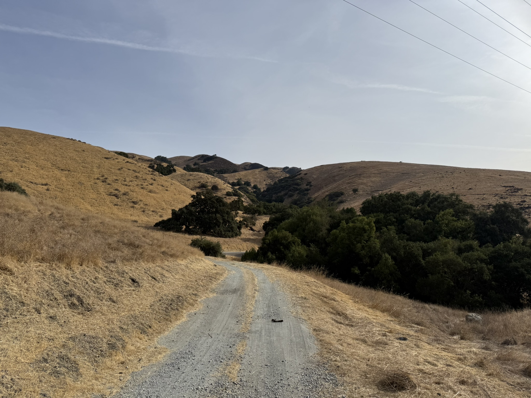 Bay Checkerspot Trail