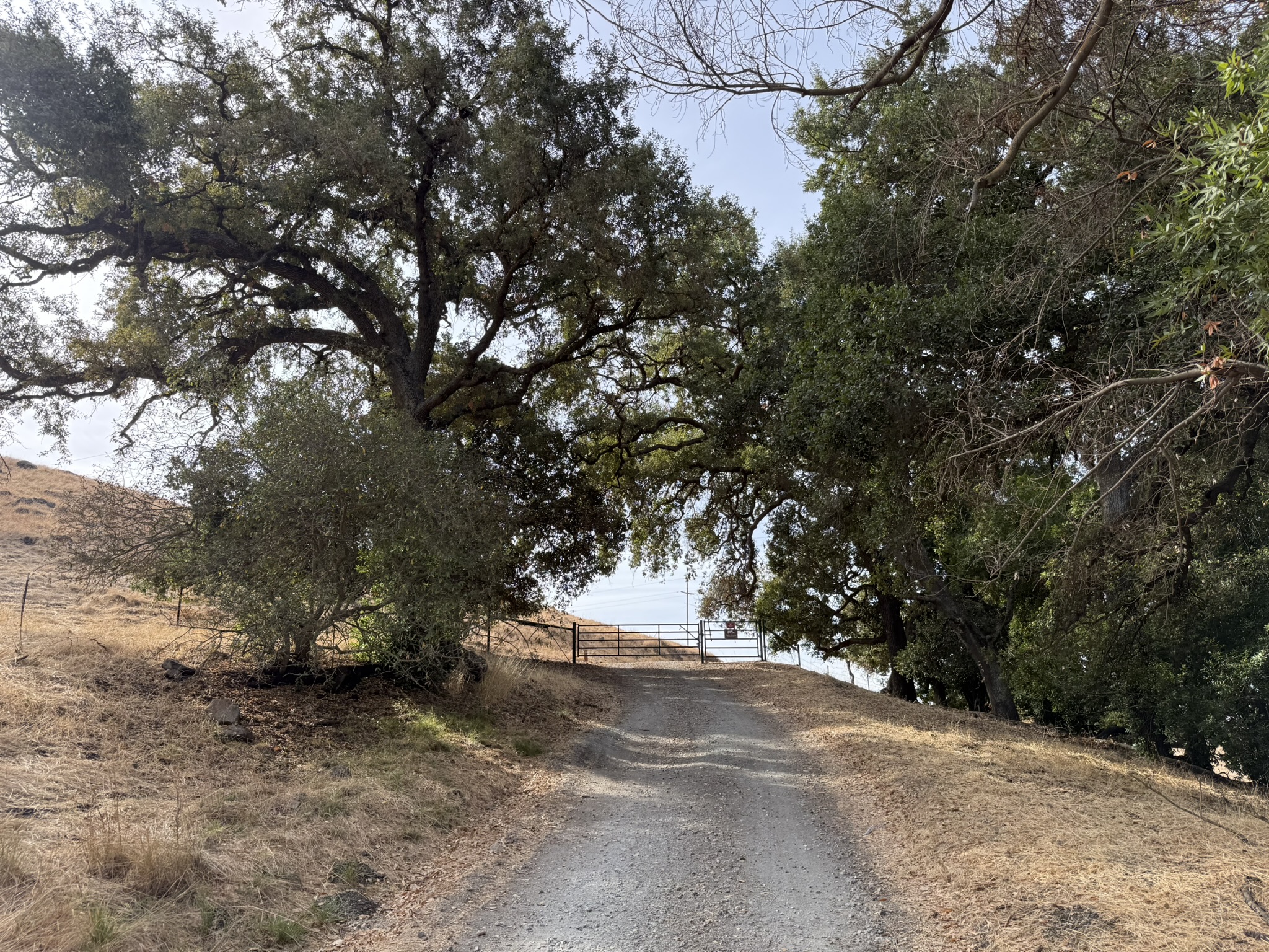 Bay Checkerspot Trail