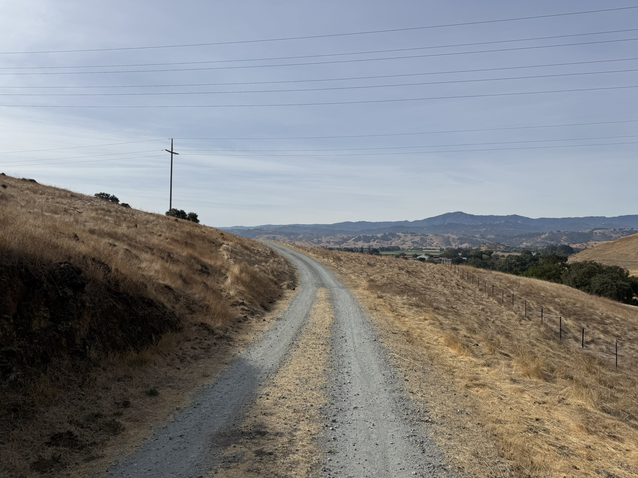 Bay Checkerspot Trail