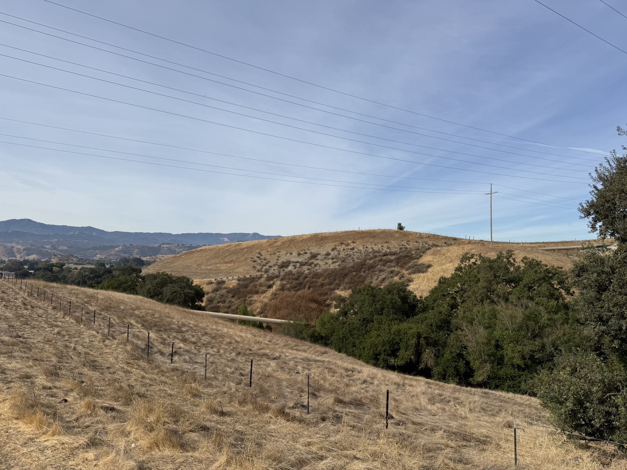 Bay Checkerspot Trail