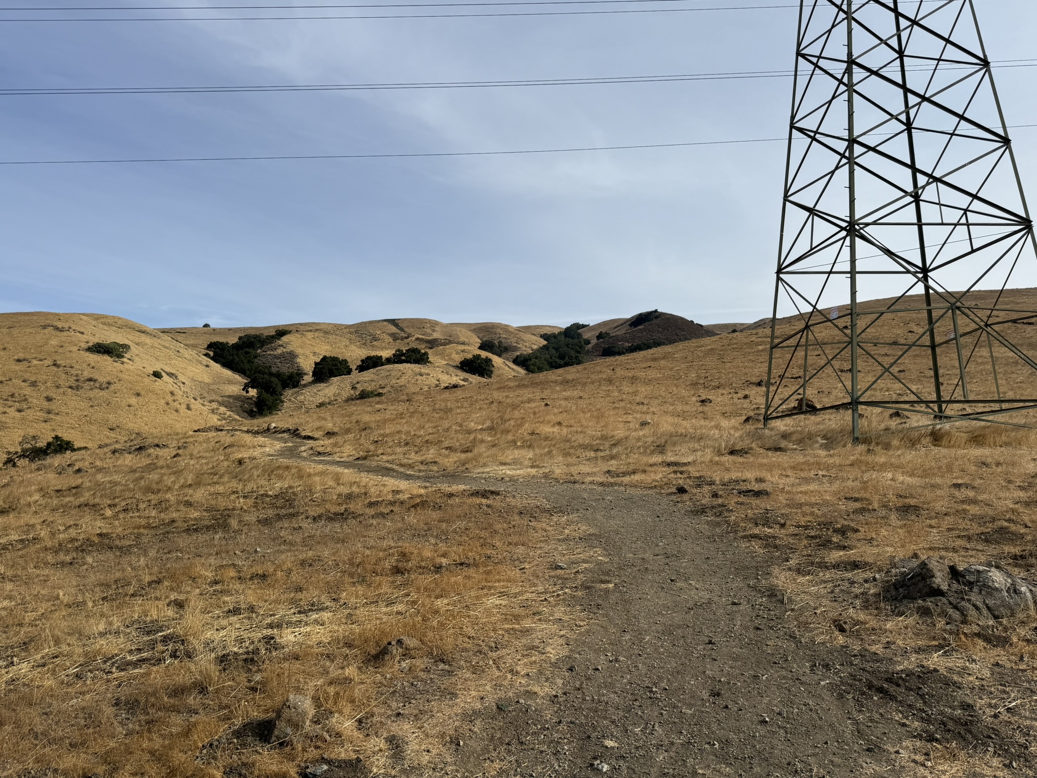 Bay Checkerspot Trail