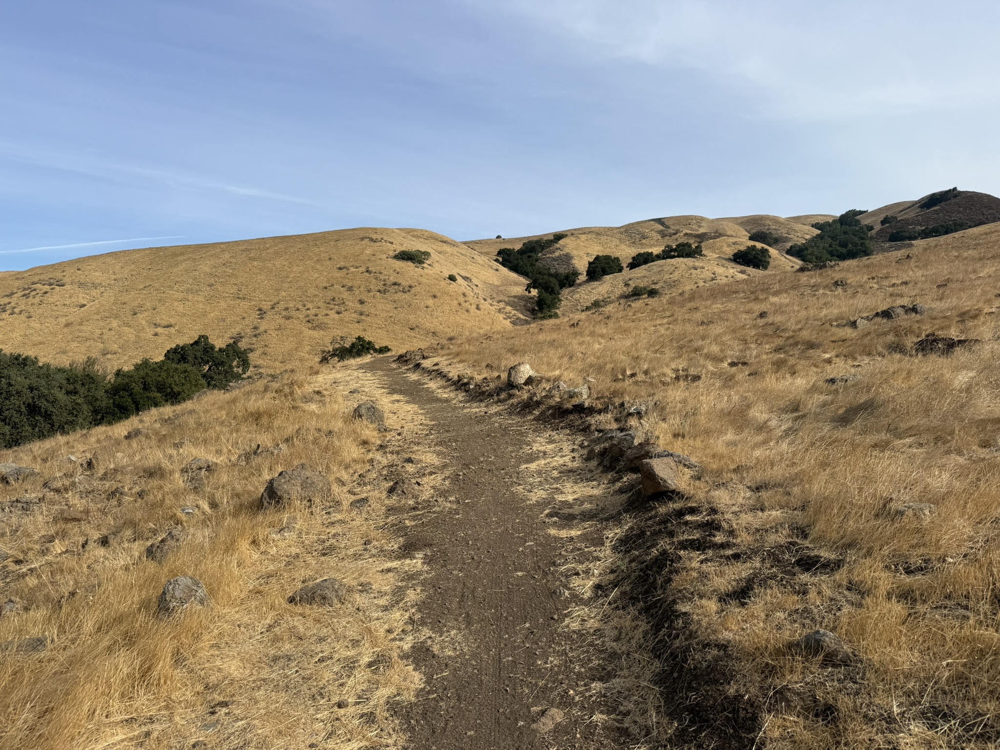 Bay Checkerspot Trail