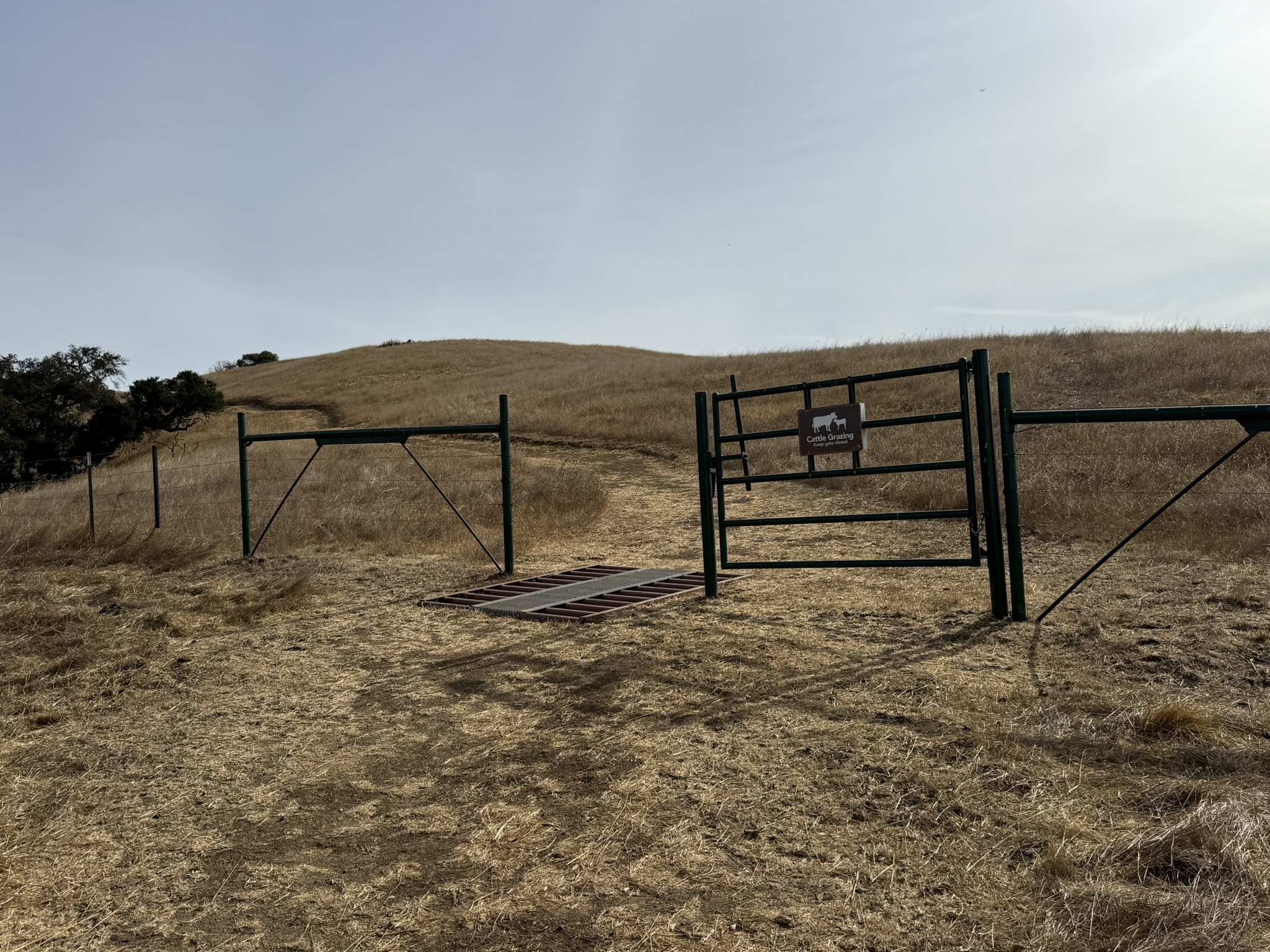 Bay Checkerspot Trail