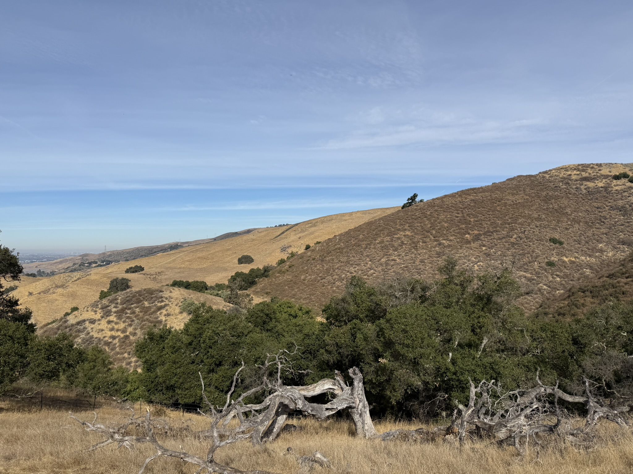 Bay Checkerspot Trail