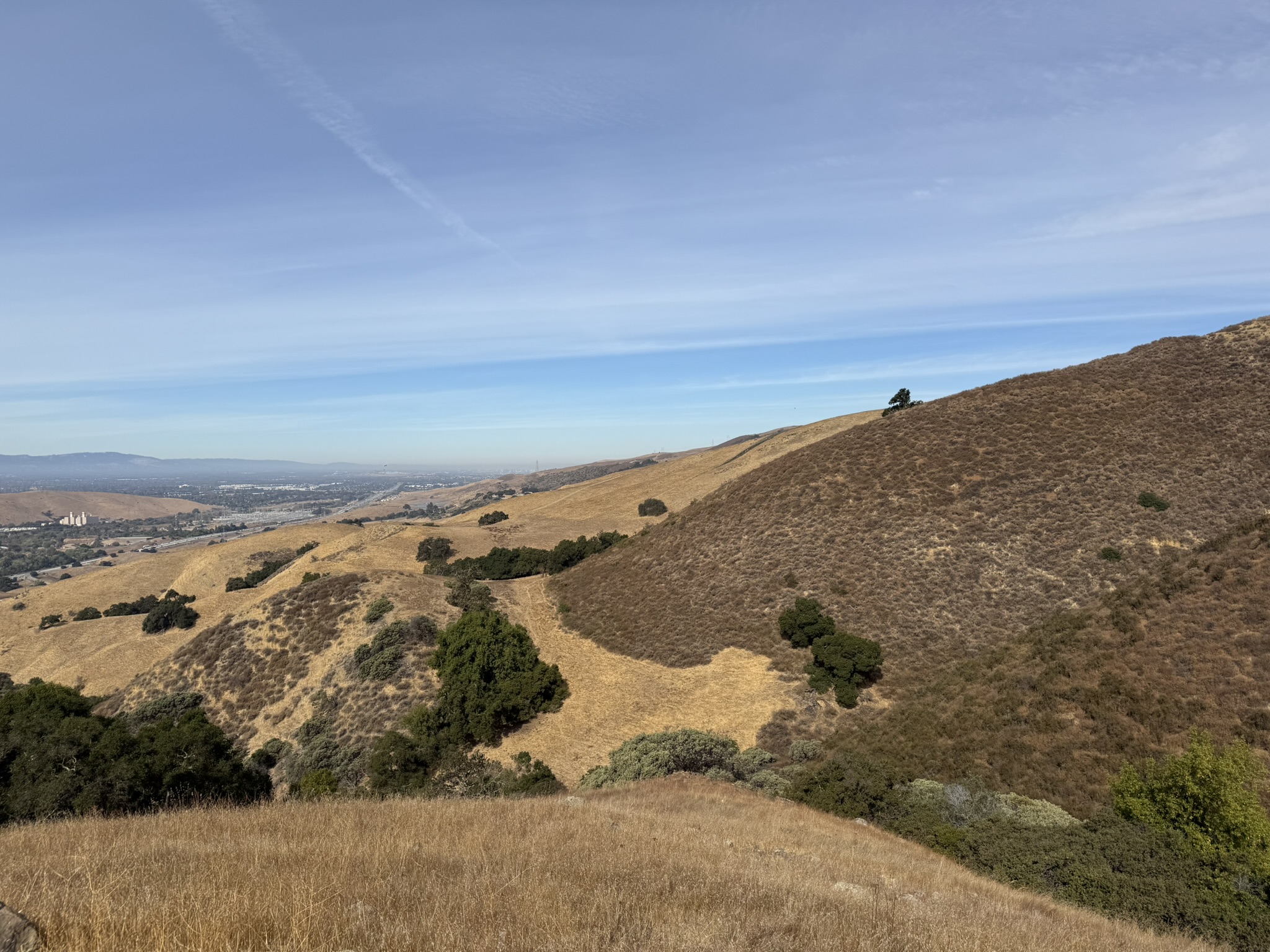 Bay Checkerspot Trail