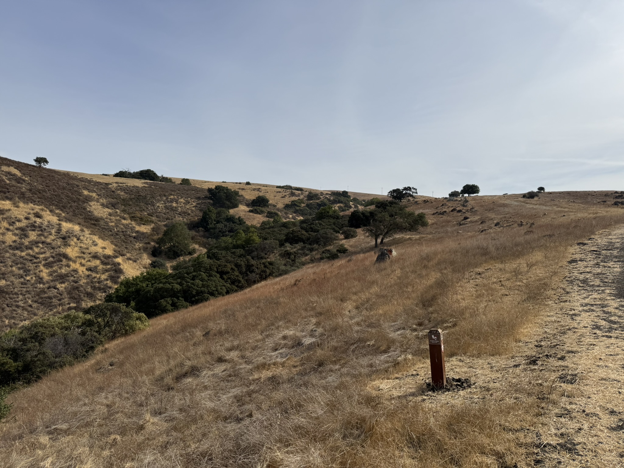 Bay Checkerspot Trail