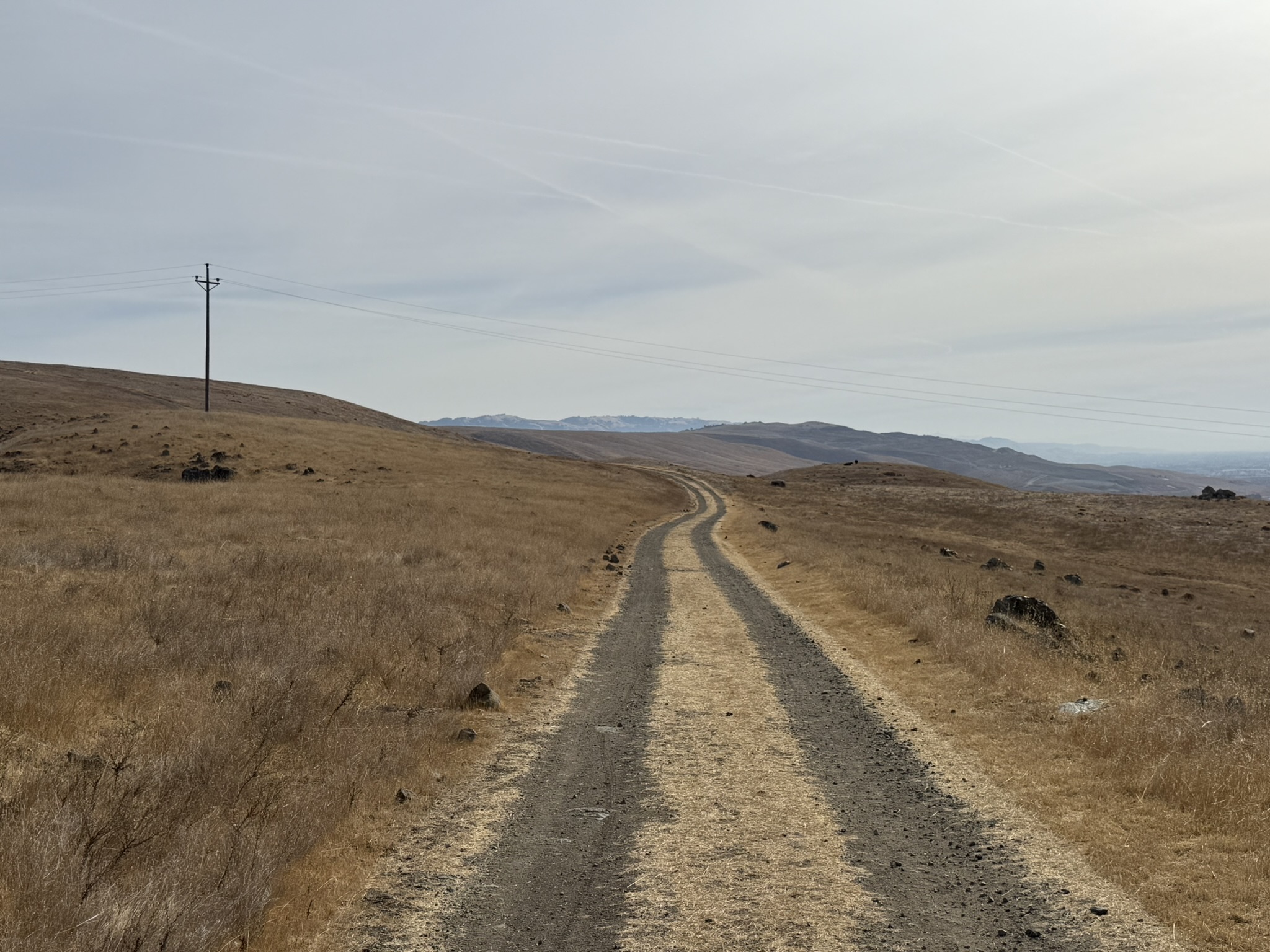 Bay Checkerspot Trail