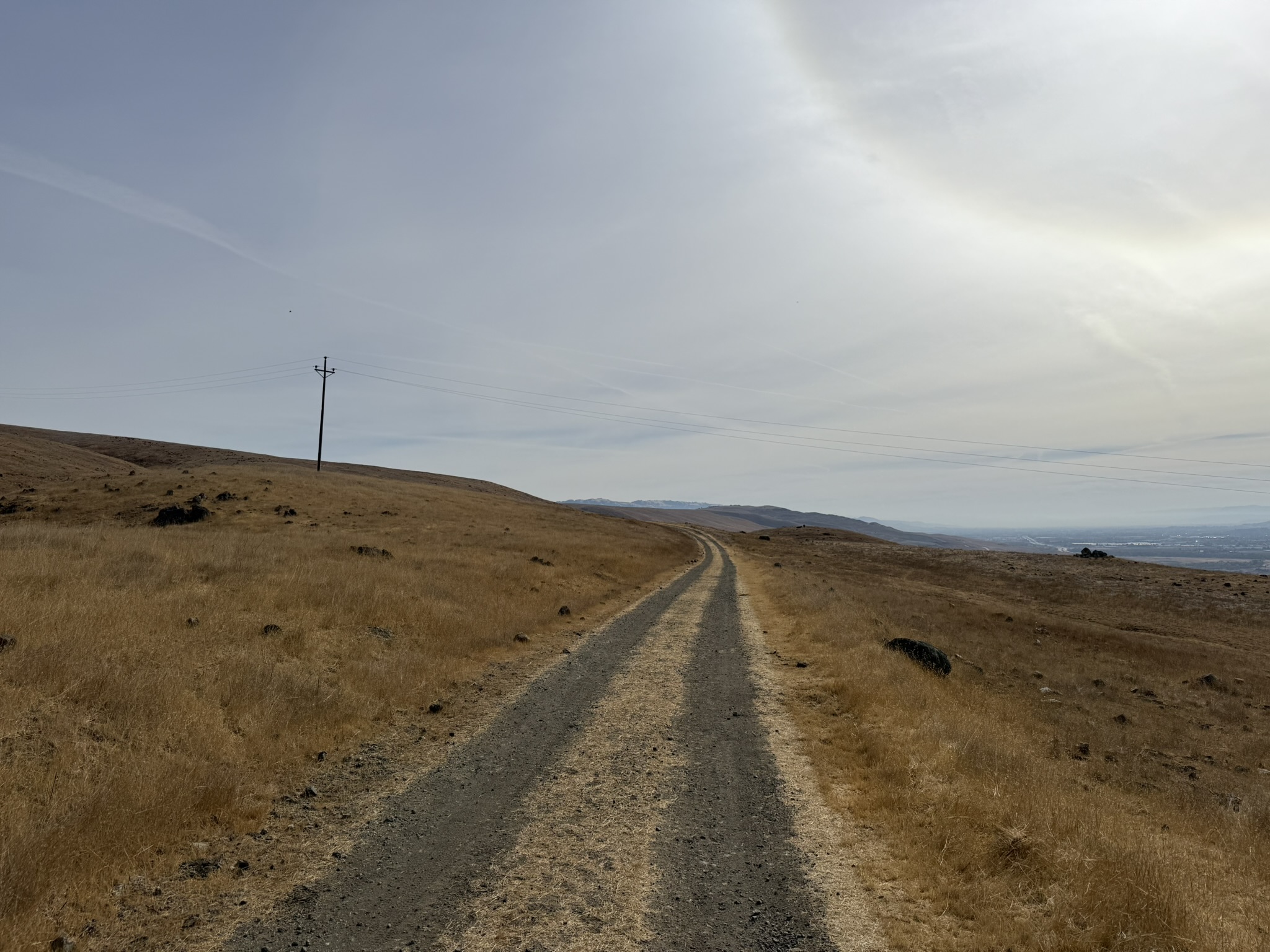 Bay Checkerspot Trail