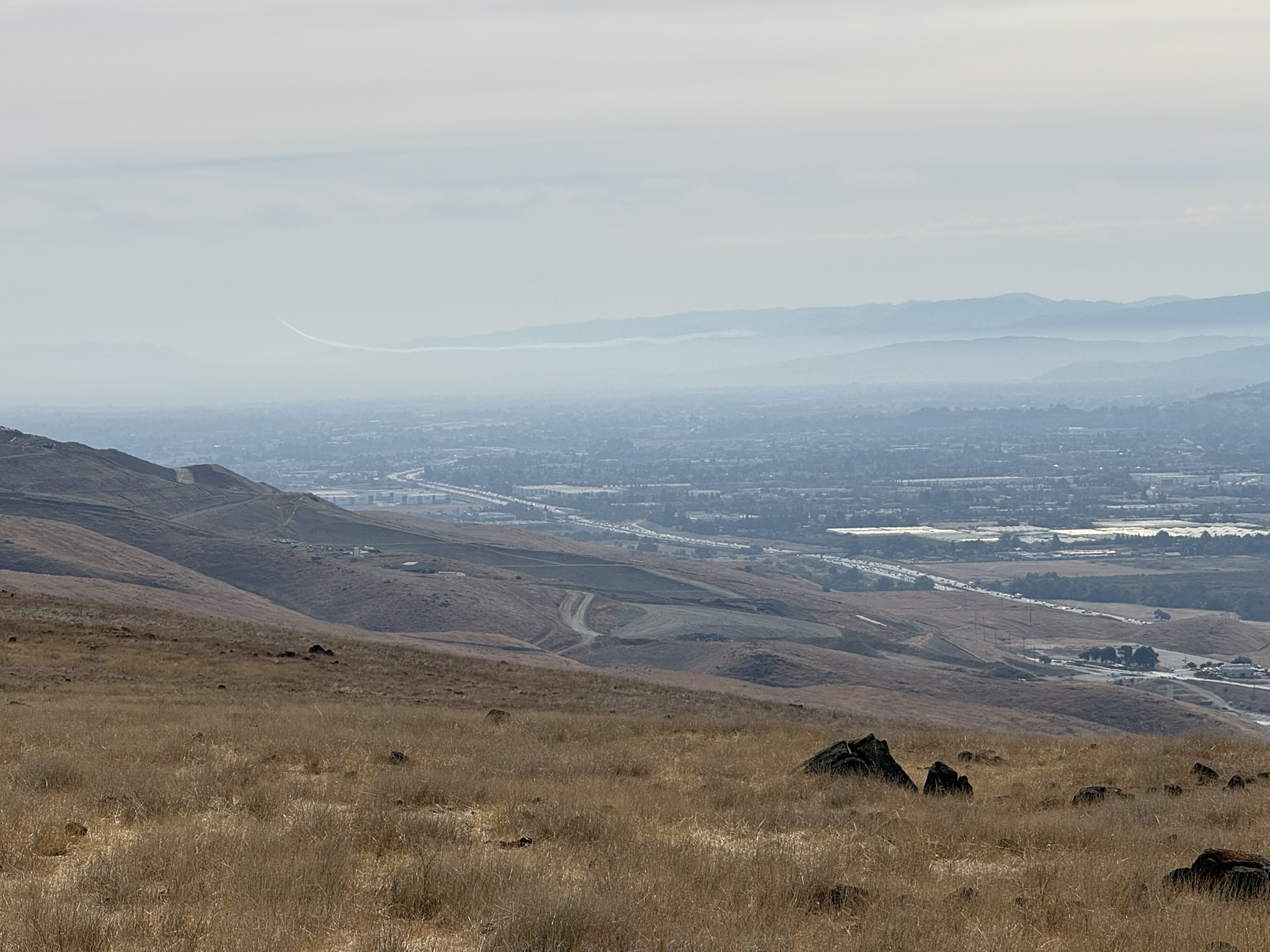 Bay Checkerspot Trail