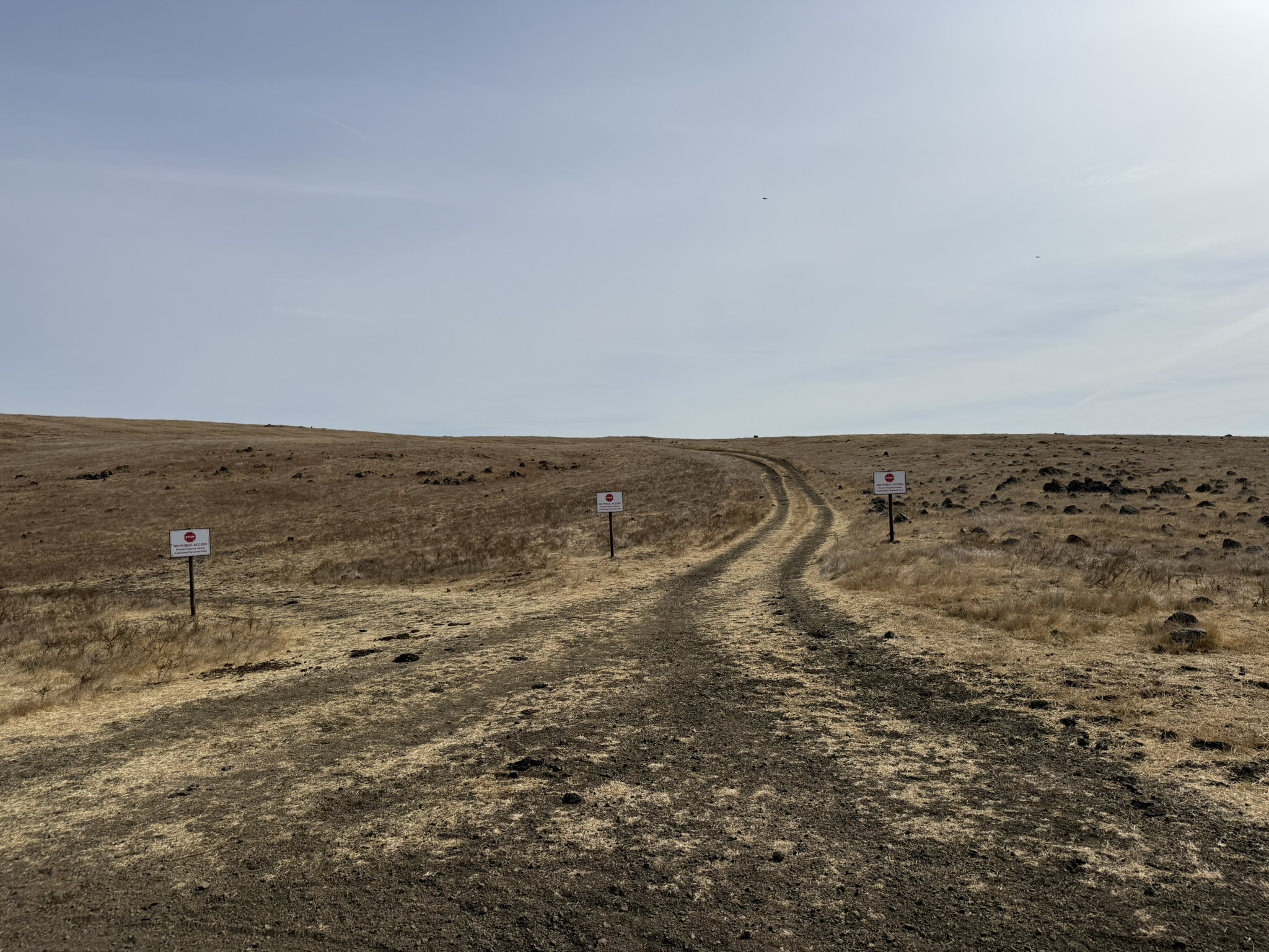 Bay Checkerspot Trail