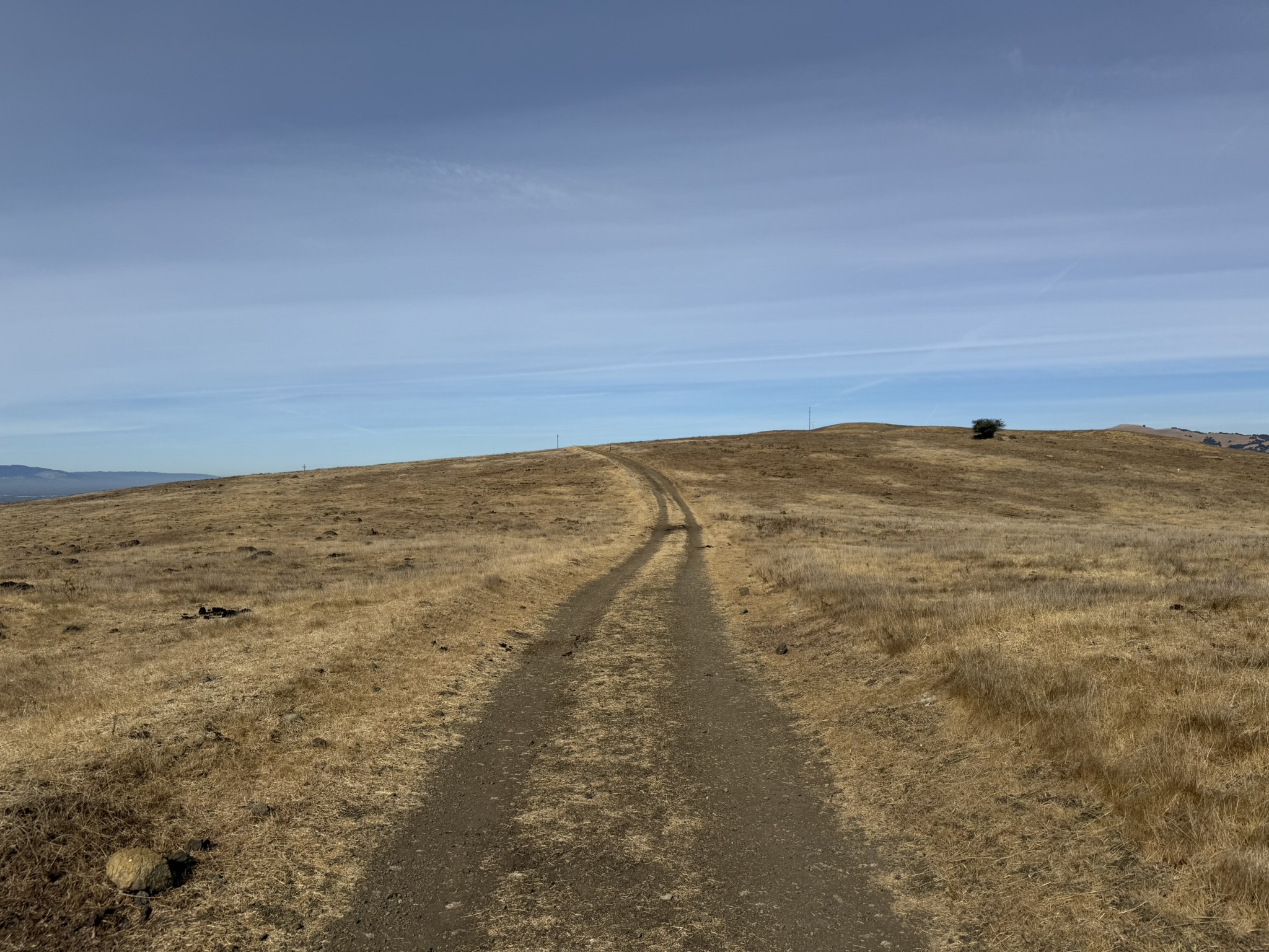 Tule Elk Trail