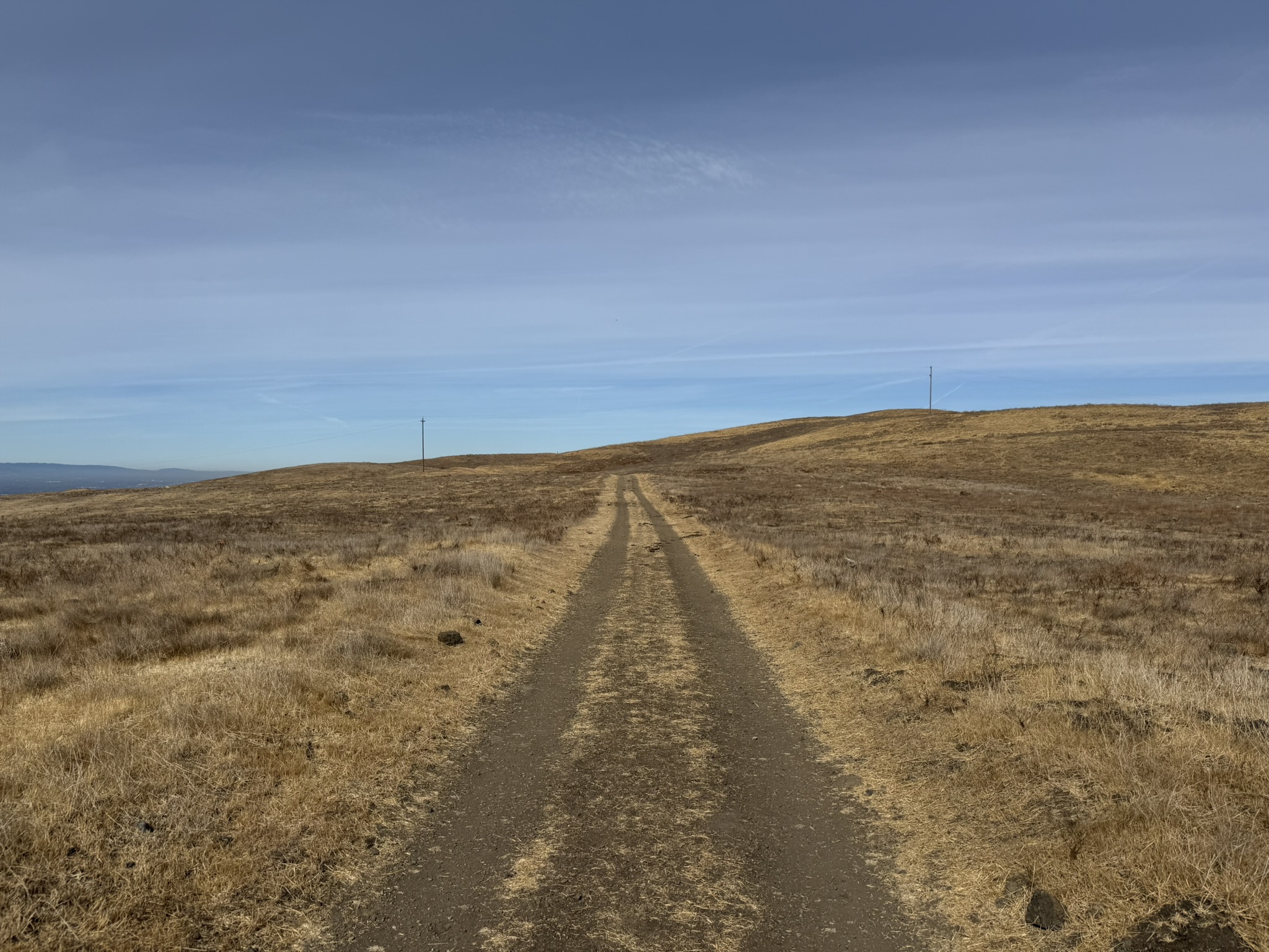 Tule Elk Trail