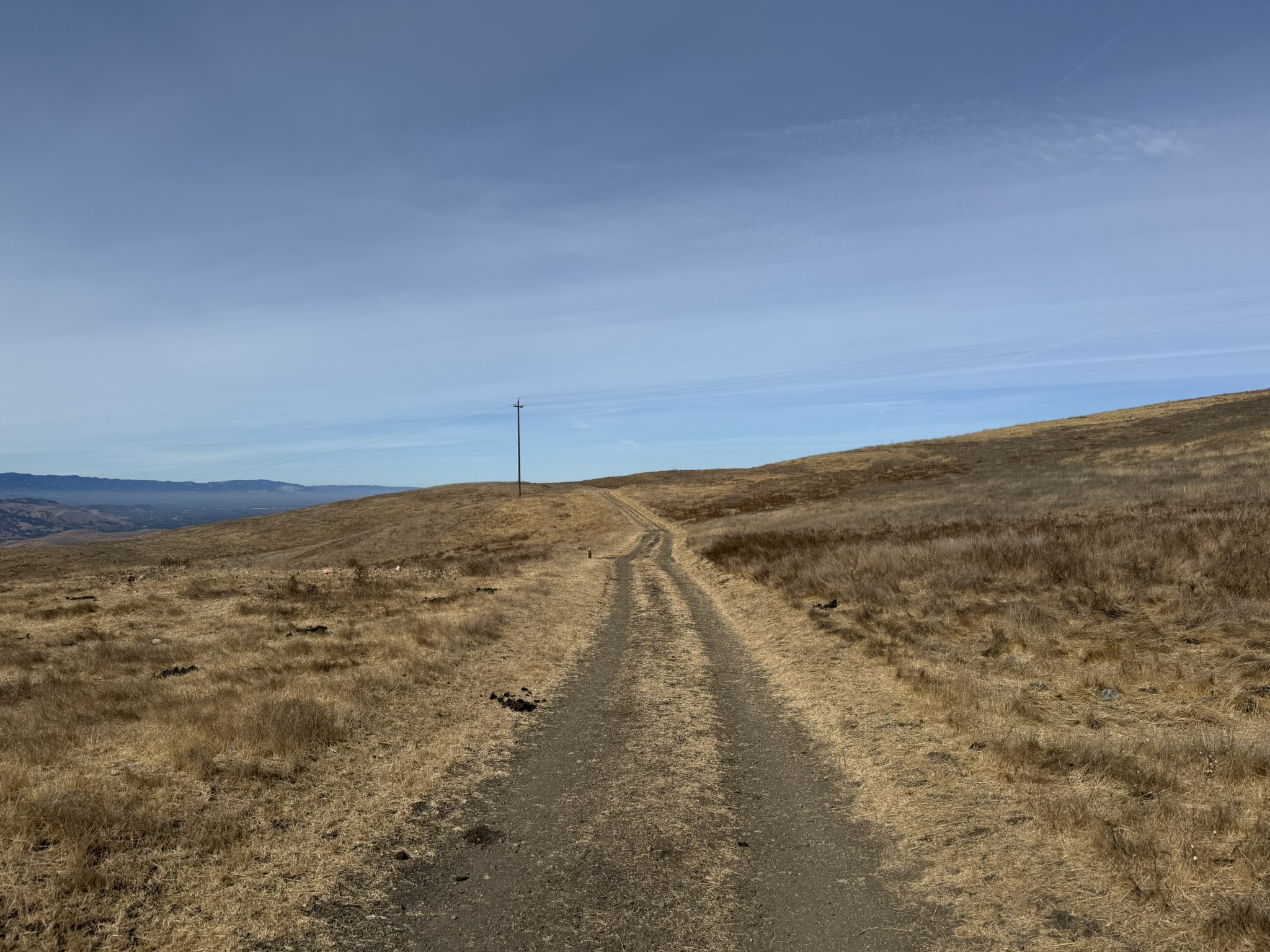 Tule Elk Trail