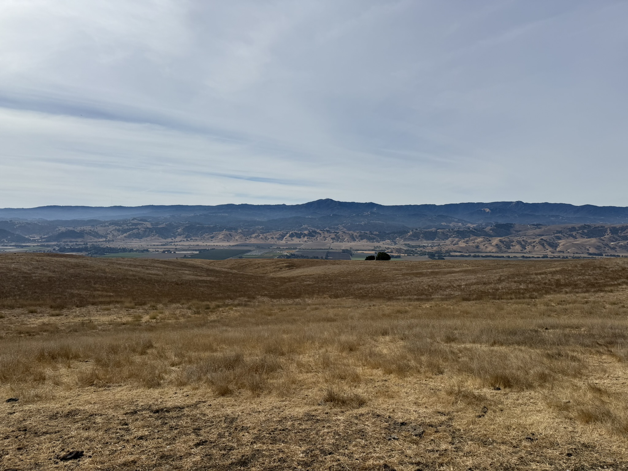 Tule Elk Trail