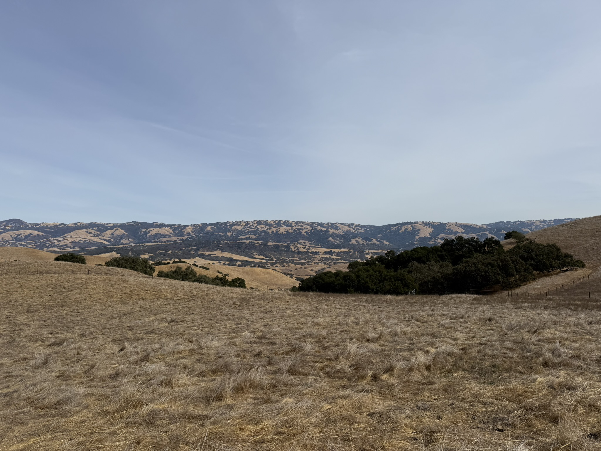 Tule Elk Trail