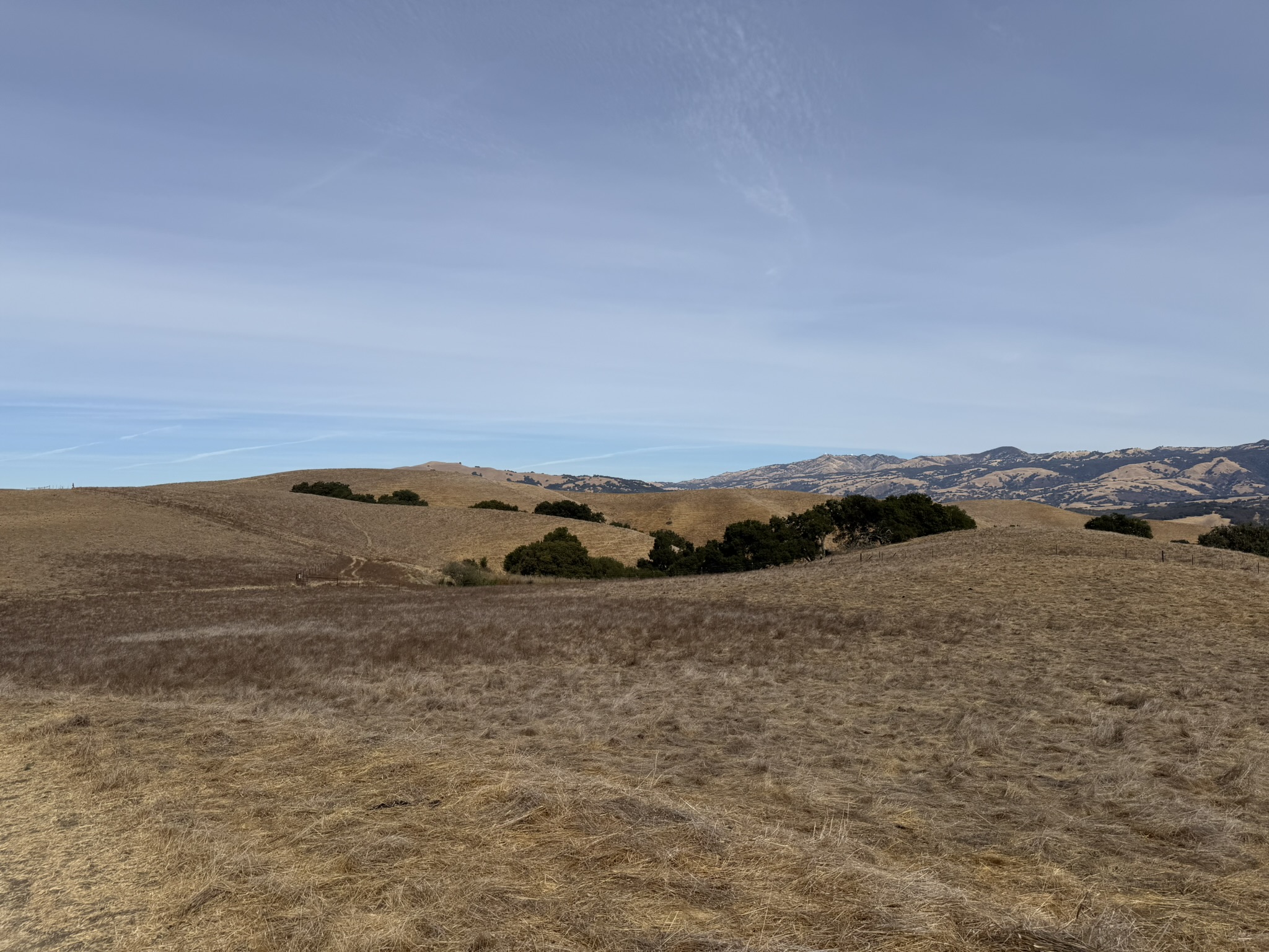 Tule Elk Trail