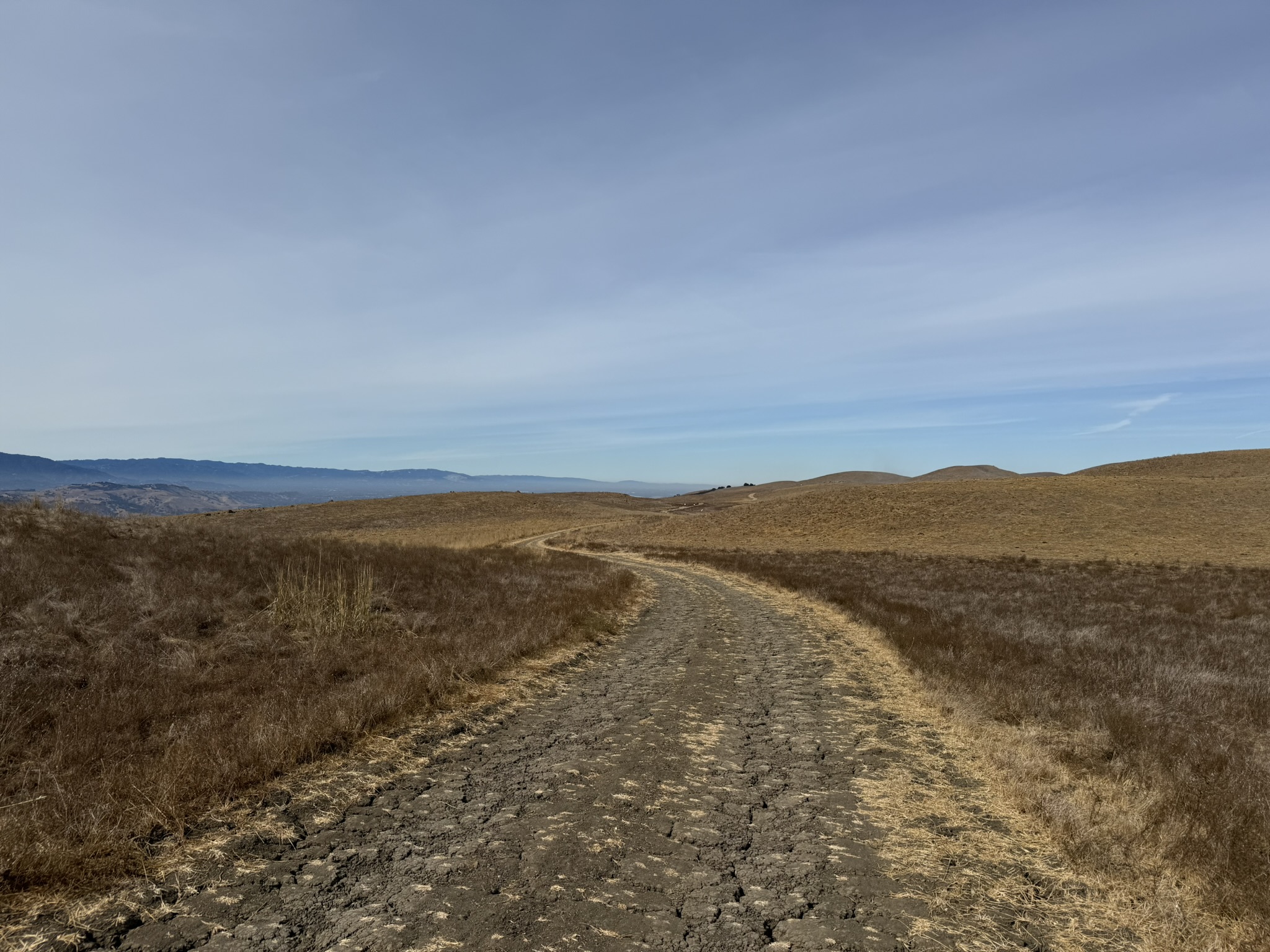 Tule Elk Trail